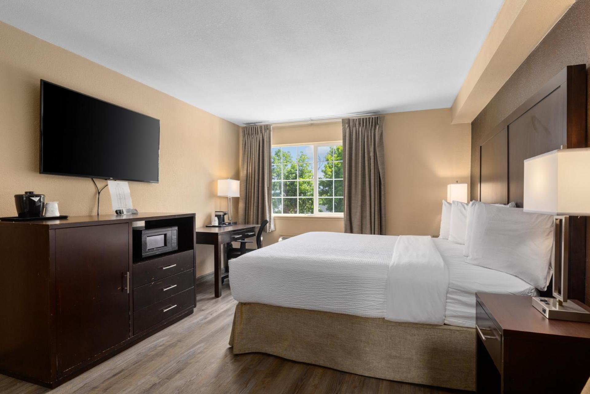 King Room - Non-Smoking