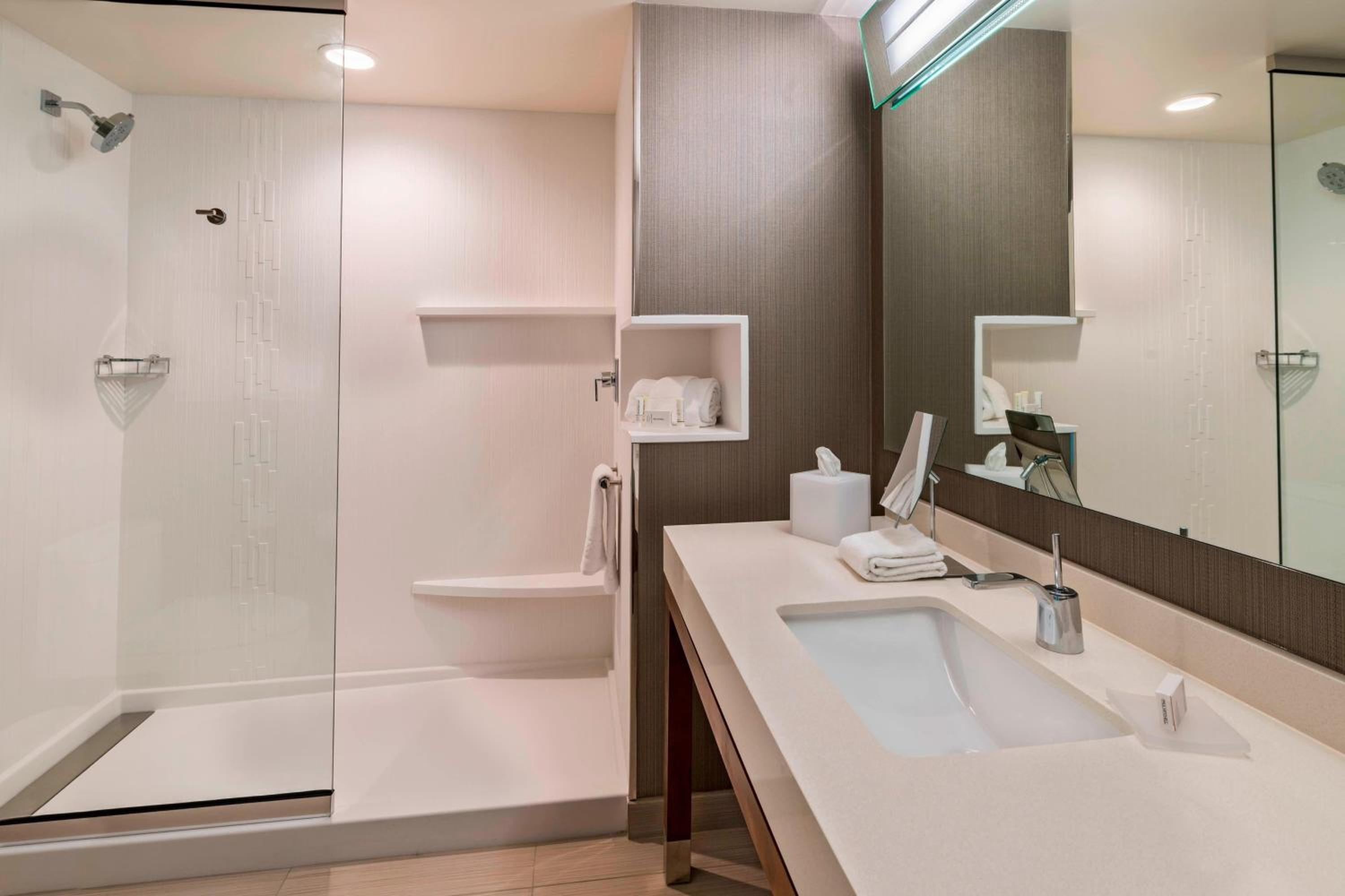 Large King Room with Sofa Bed