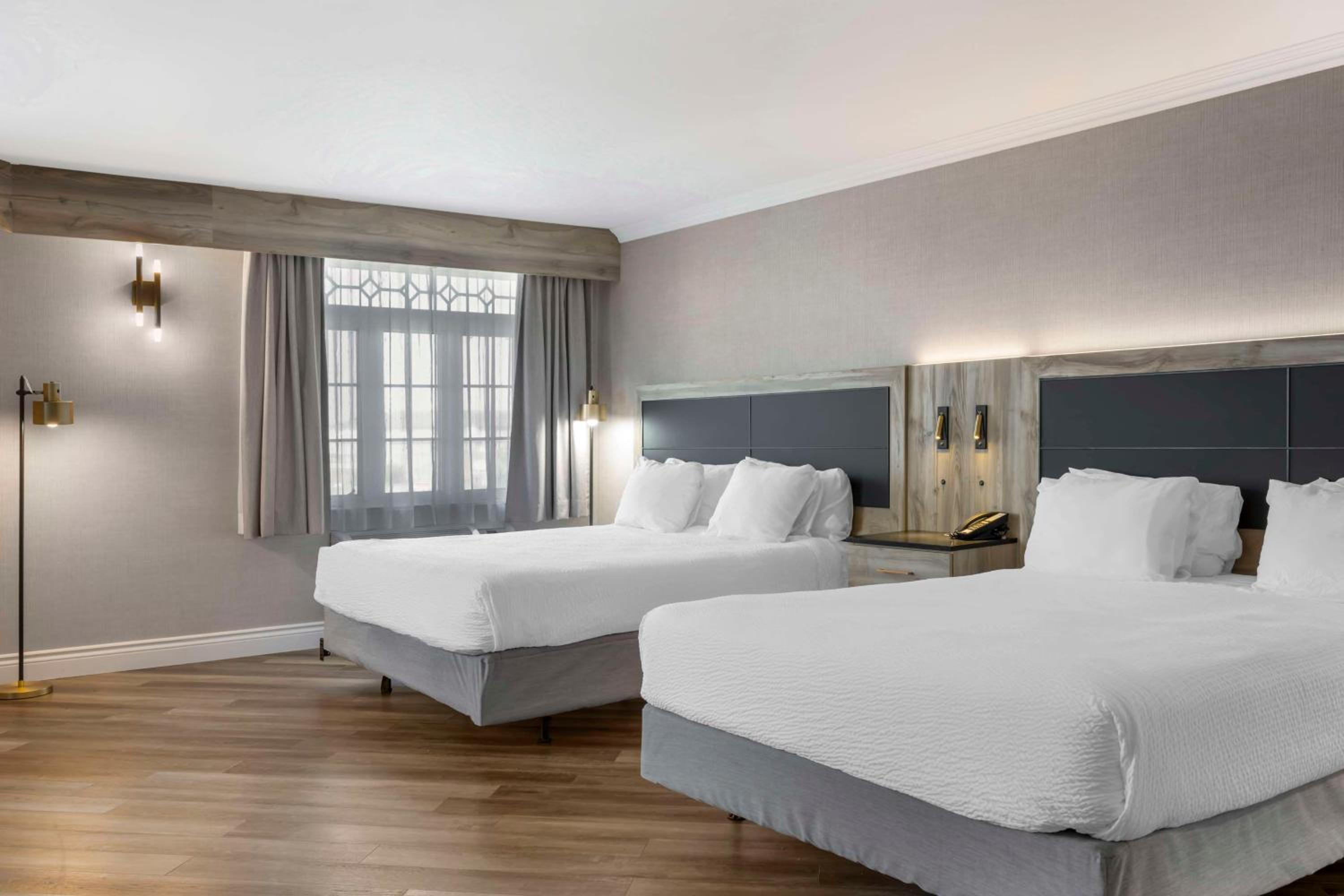 King Suite with Two King Beds and Sofa Bed - Non-Smoking