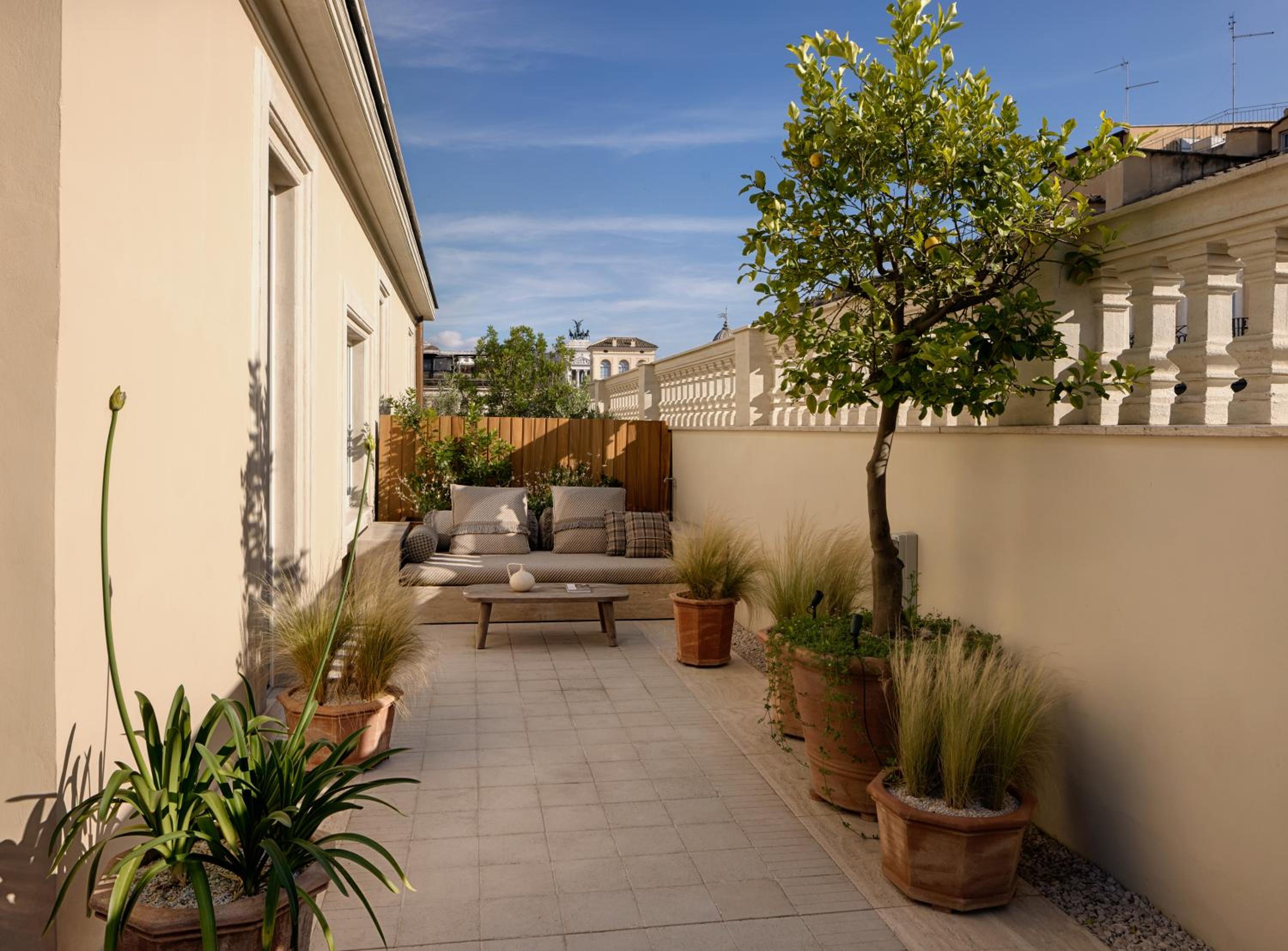 Terrace Junior Suite