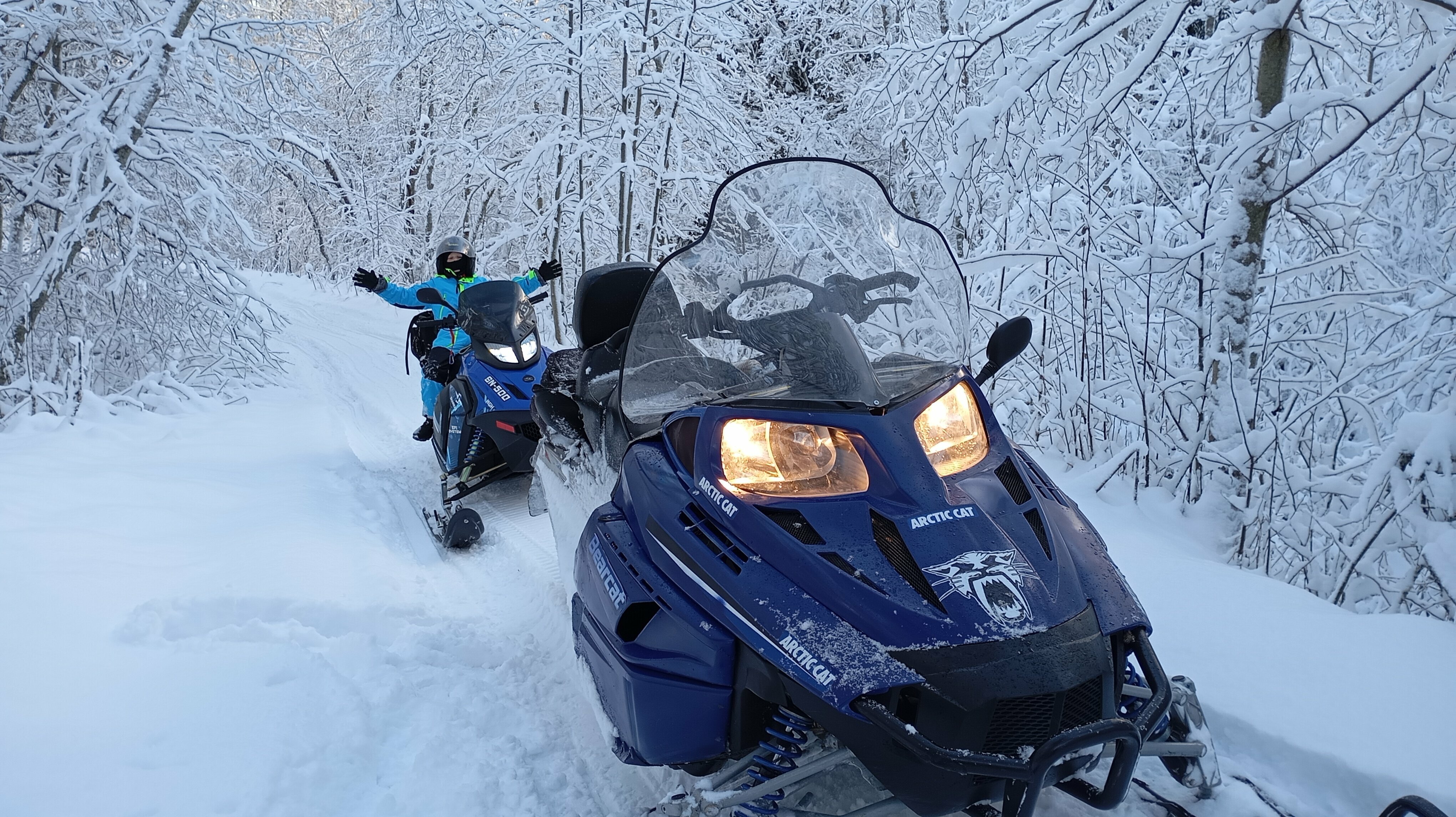 Коттедж с видом на лес