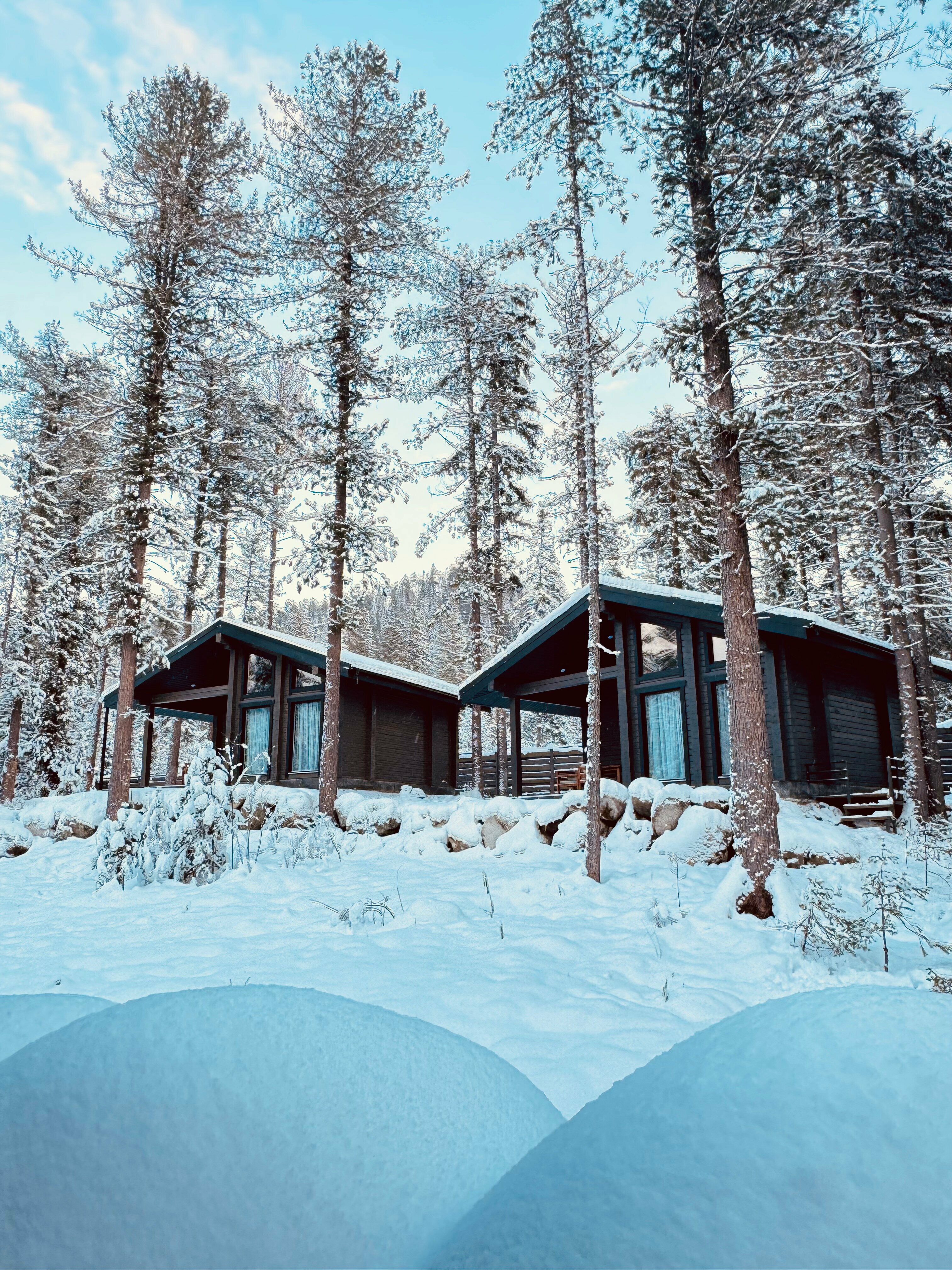 Шале Светлый