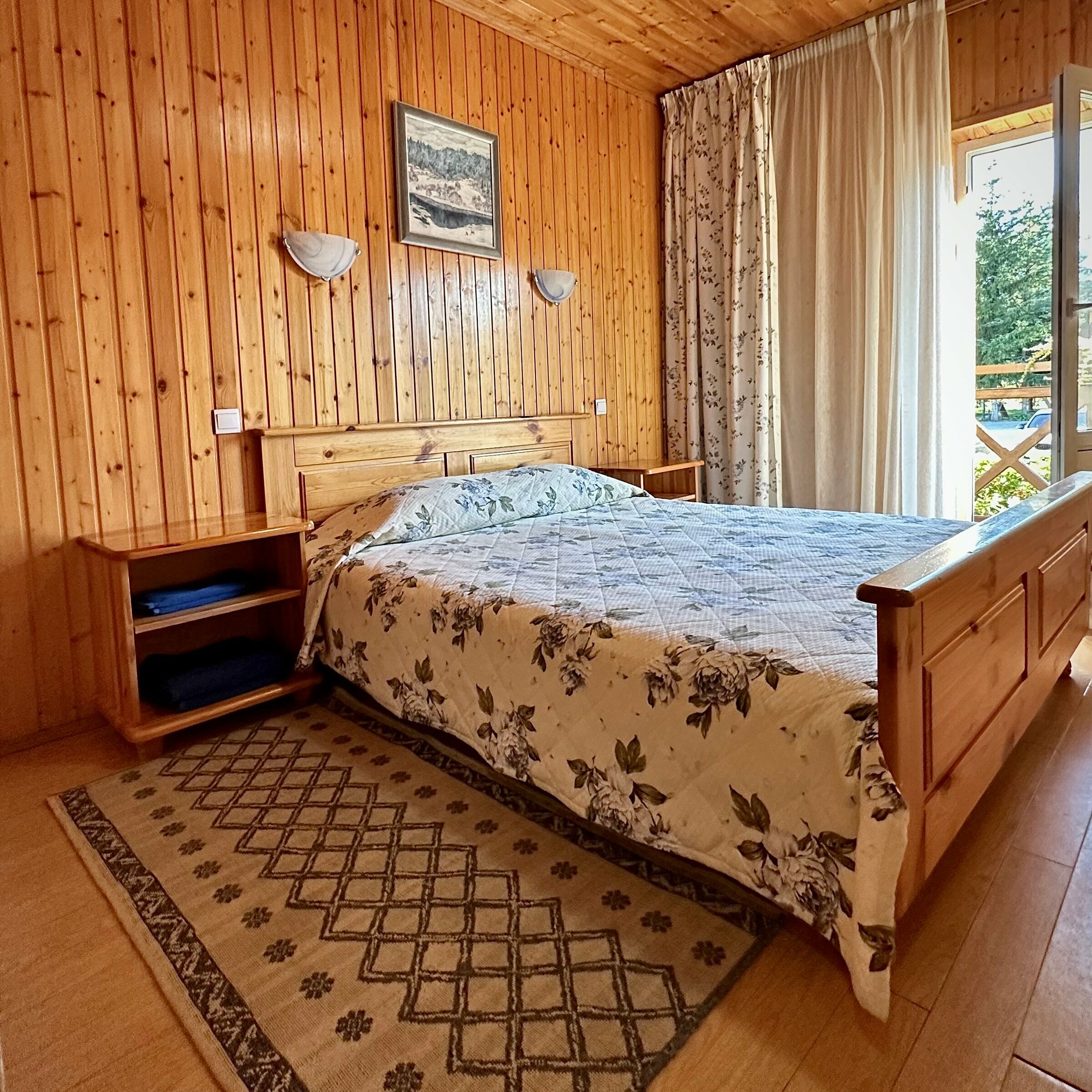 Двухместный номер с 1 кроватью и видом на парк