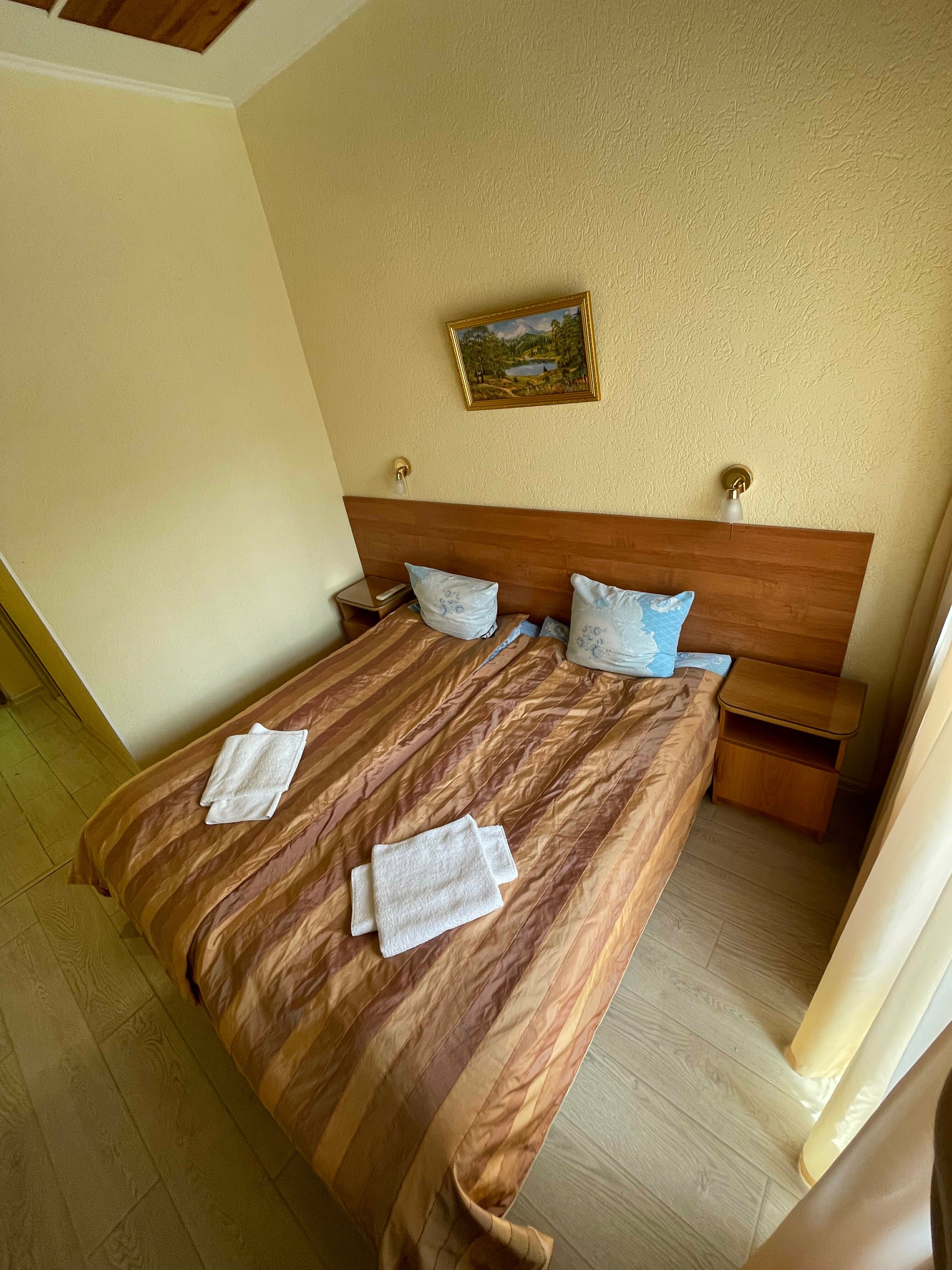 Двухместный номер Делюкс с 1 кроватью или 2 отдельными кроватями