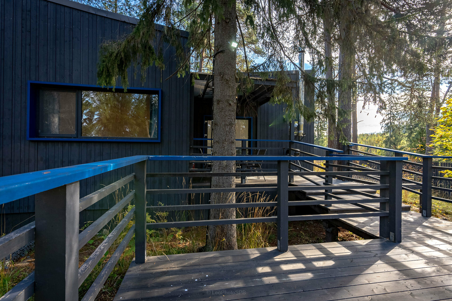 Дом с видом на лес