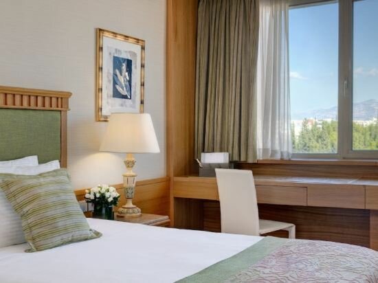 Essential Triple Room