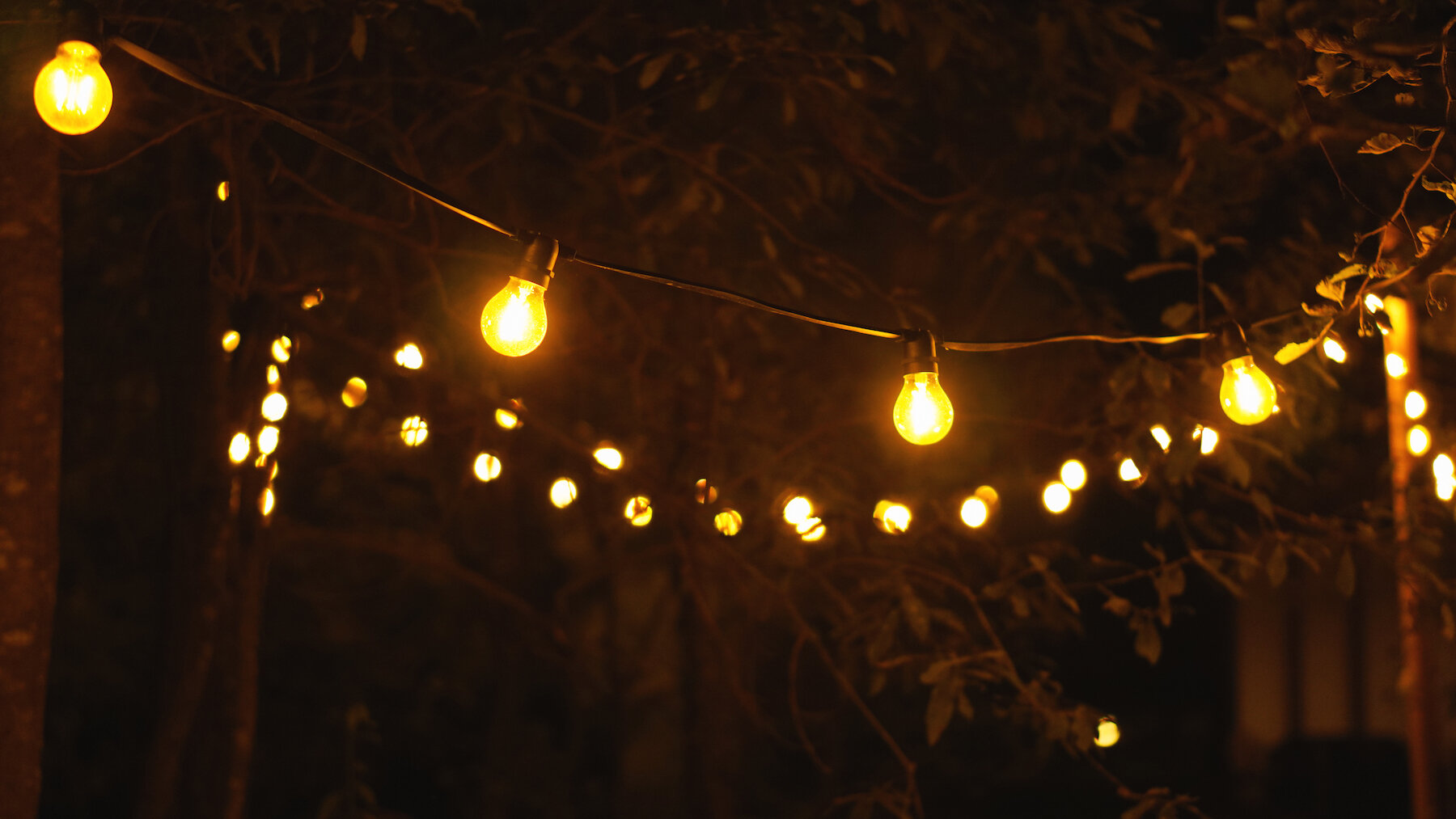 Коттедж с видом на лес