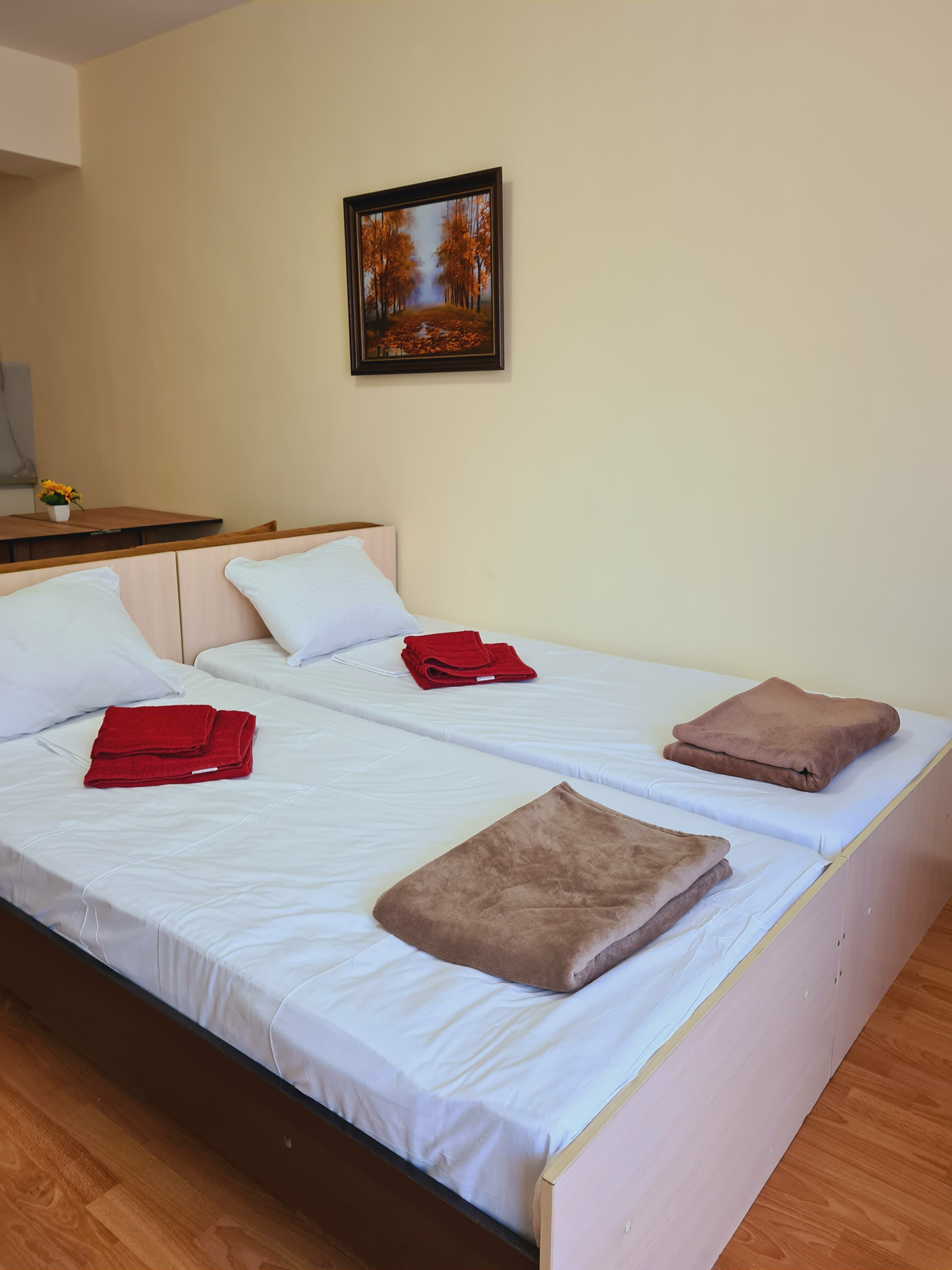 Студия с кухней, 5-ти местный