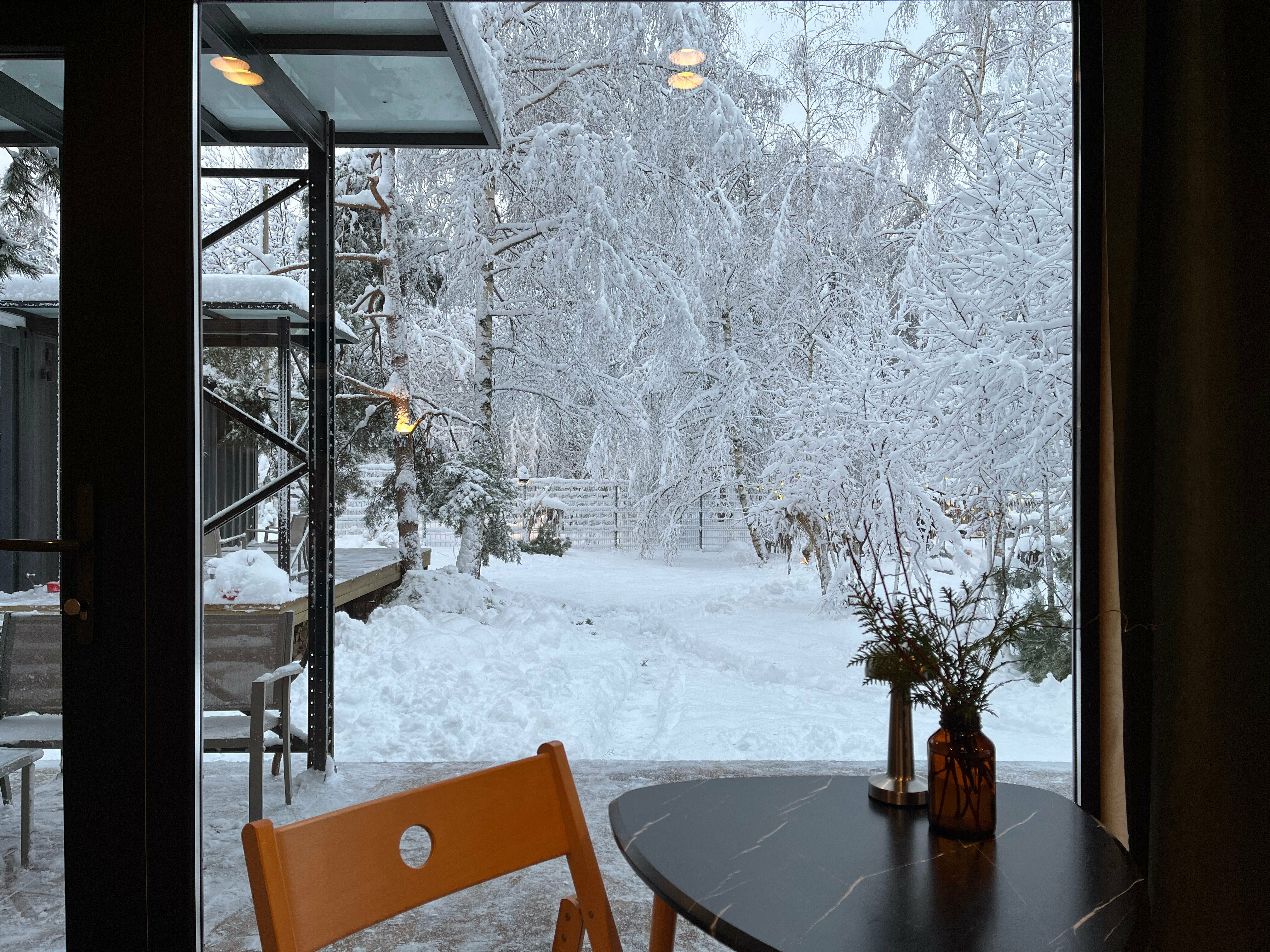 Дом с видом на лес