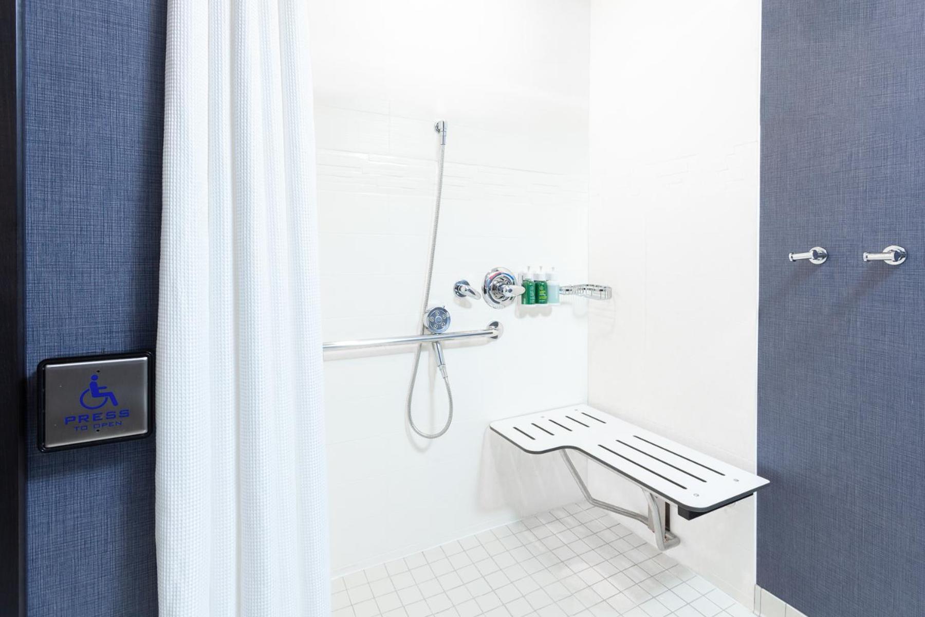 Studio King Suite with Sofa Bed - Mobility Accessible with Roll-In Shower