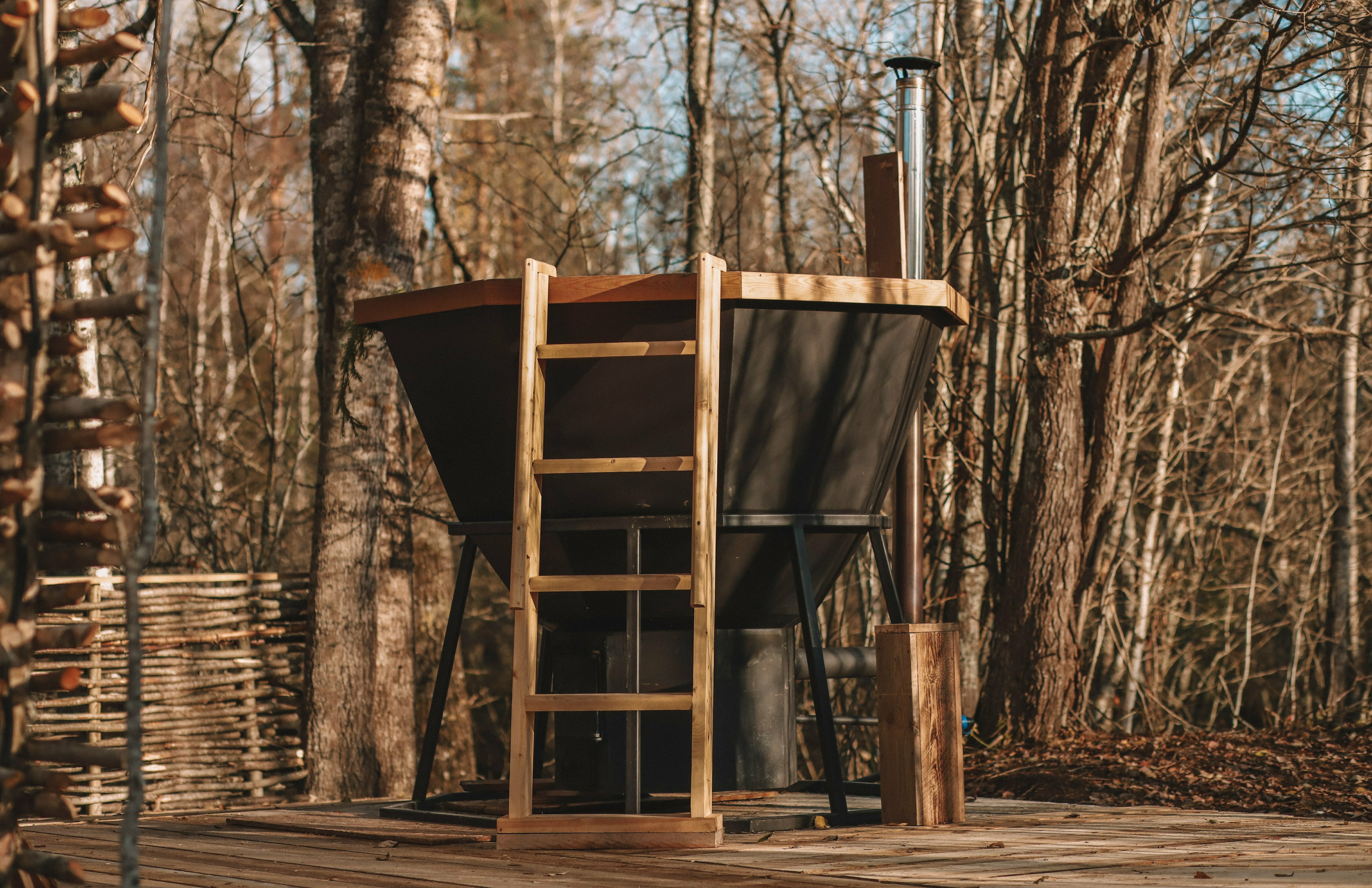 Дом с видом на лес