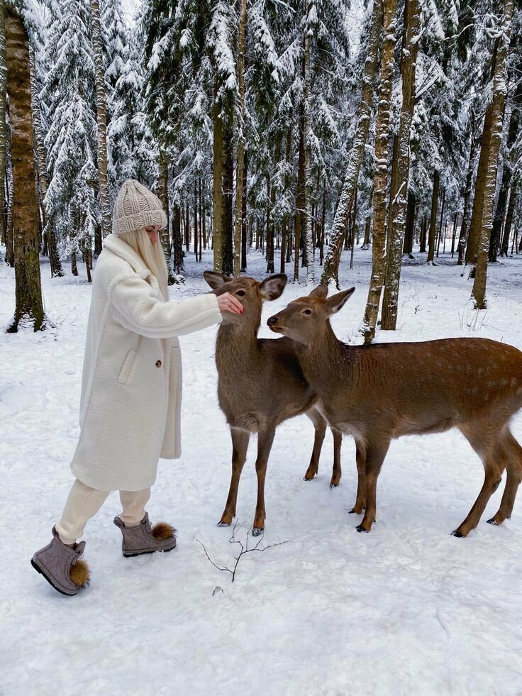 Домик с оленями и кроликами