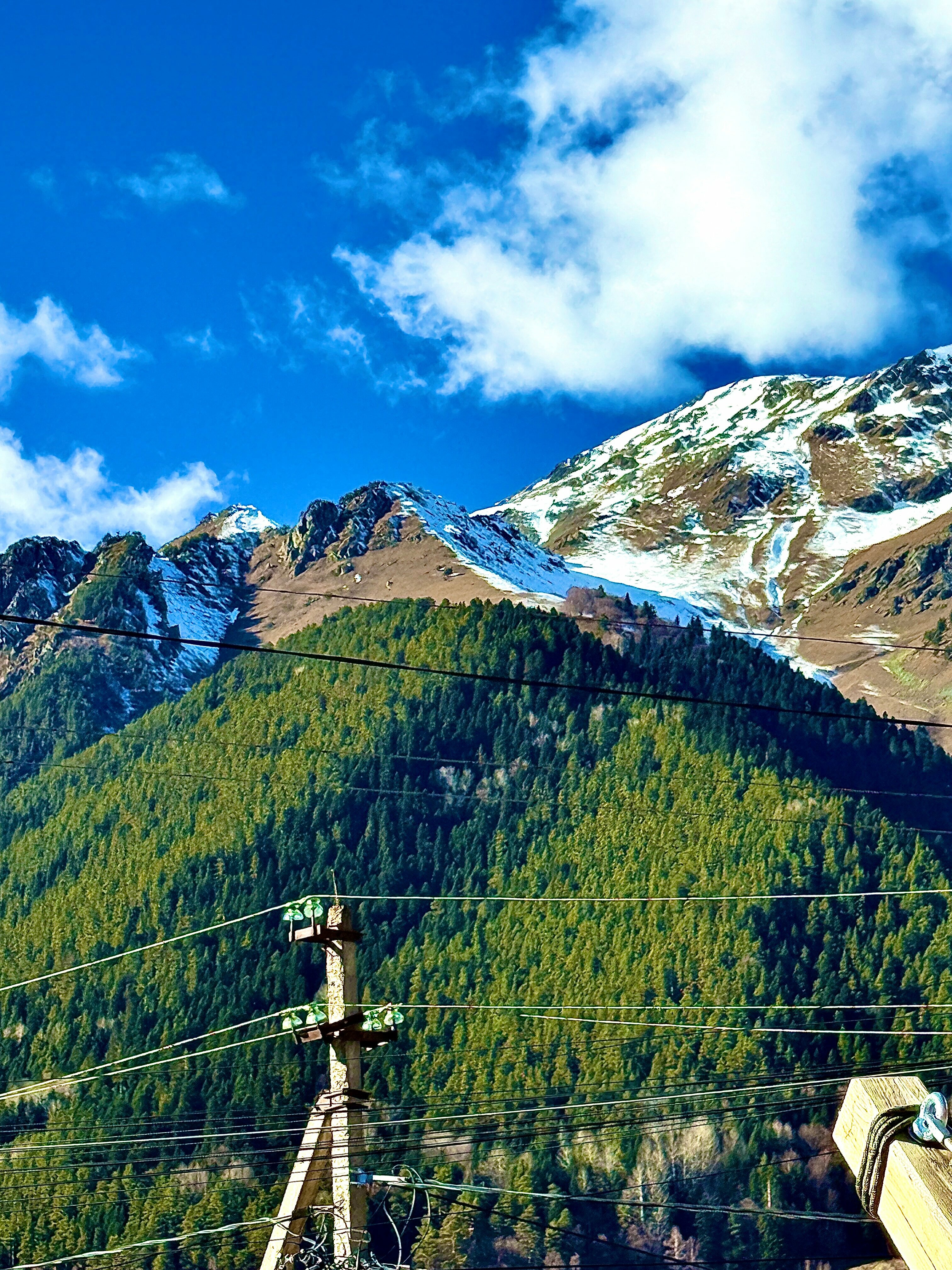 Двухместный стандарт | 1 этаж