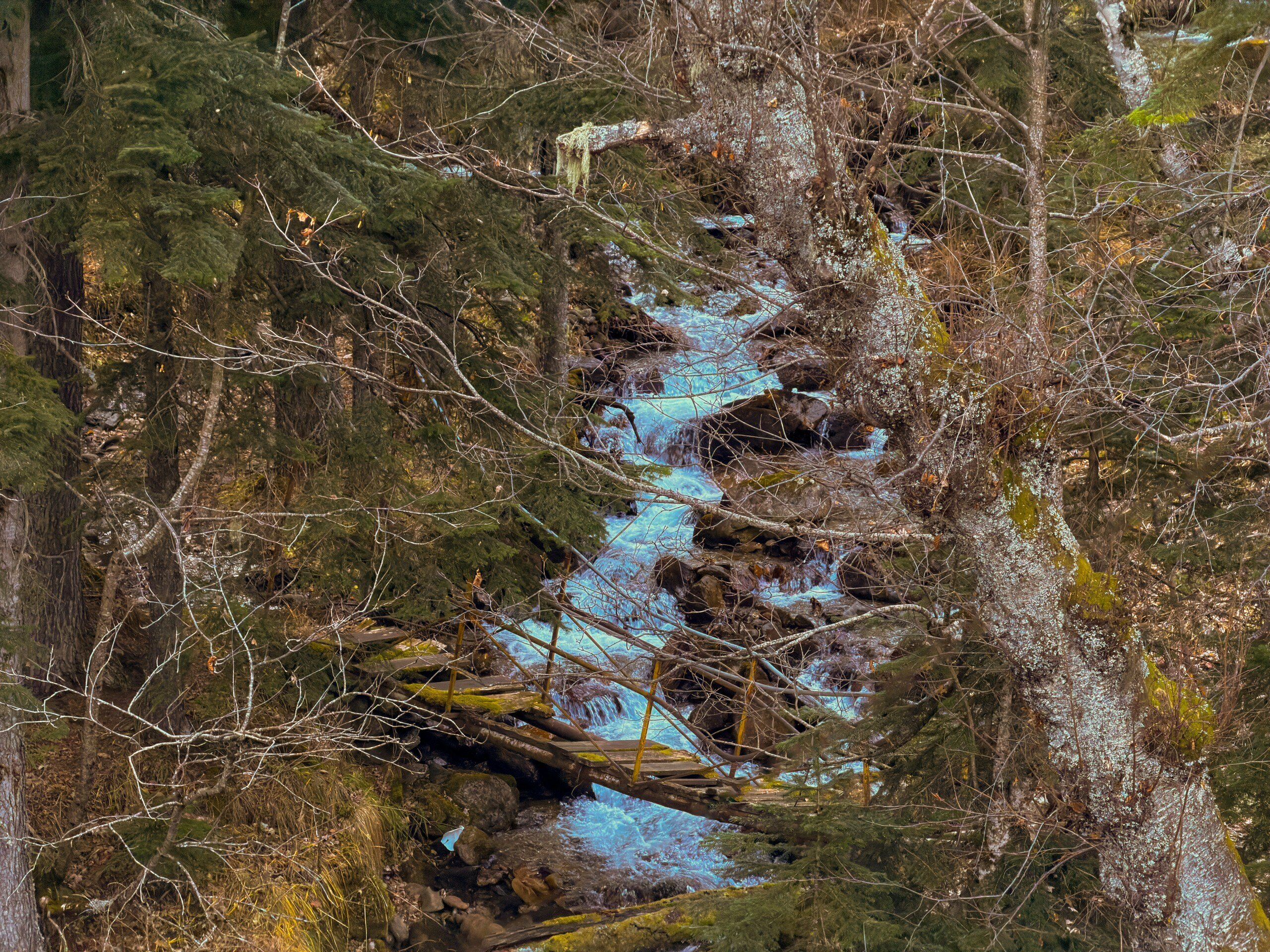 студенческий номер на 15 человек