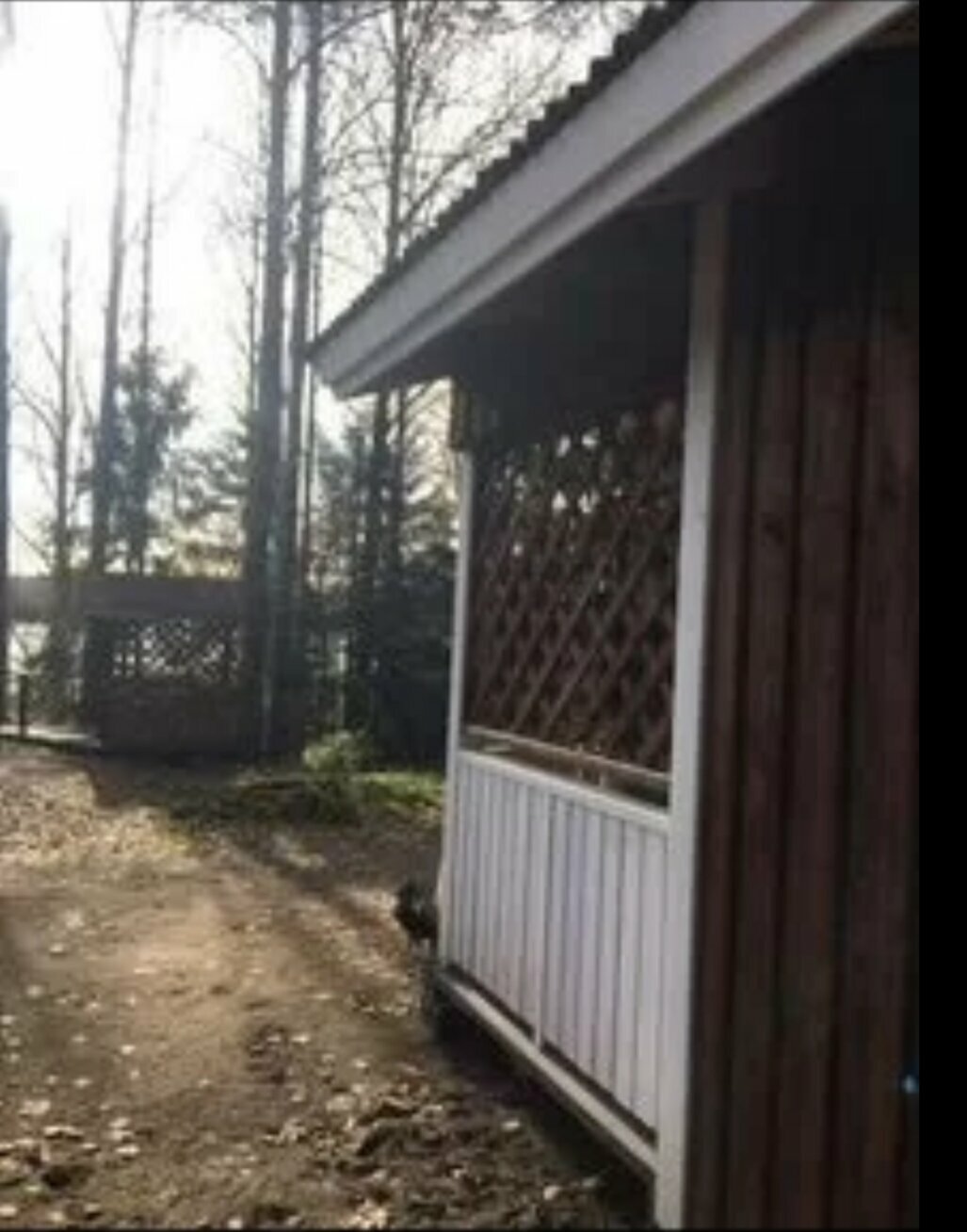 Дом с видом на лес