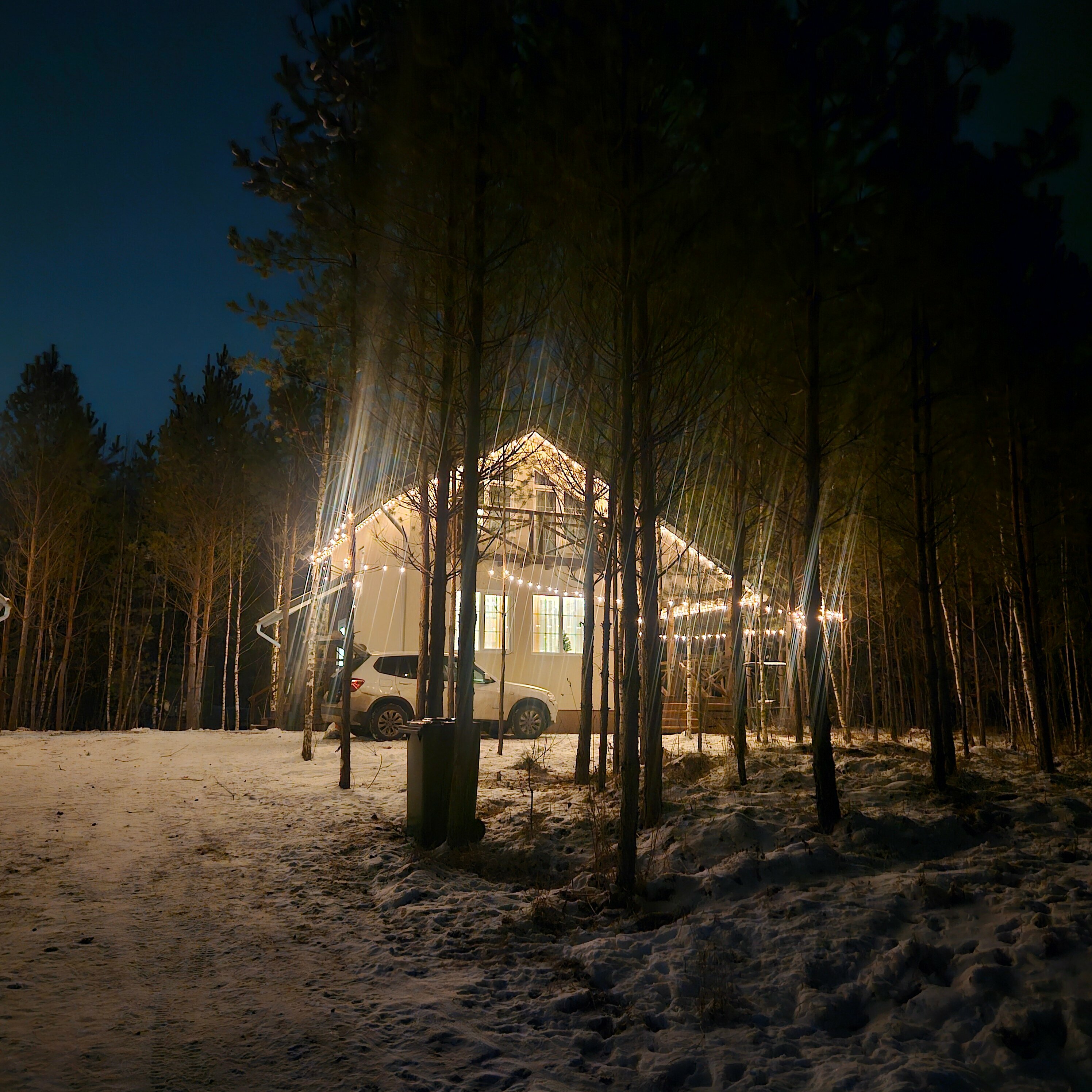 Дом с видом на лес