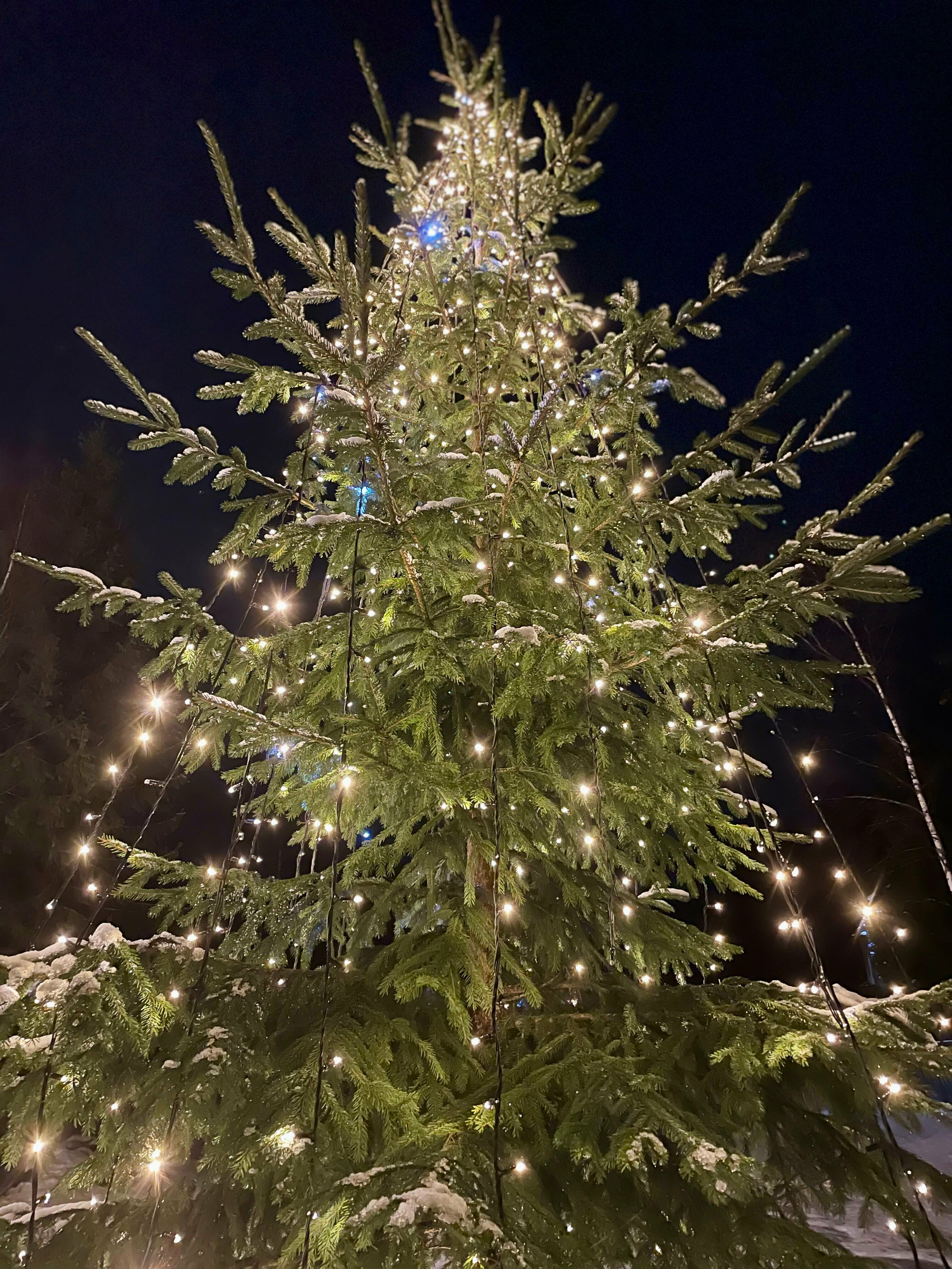 Дом с летним бассейном (3 спальни)