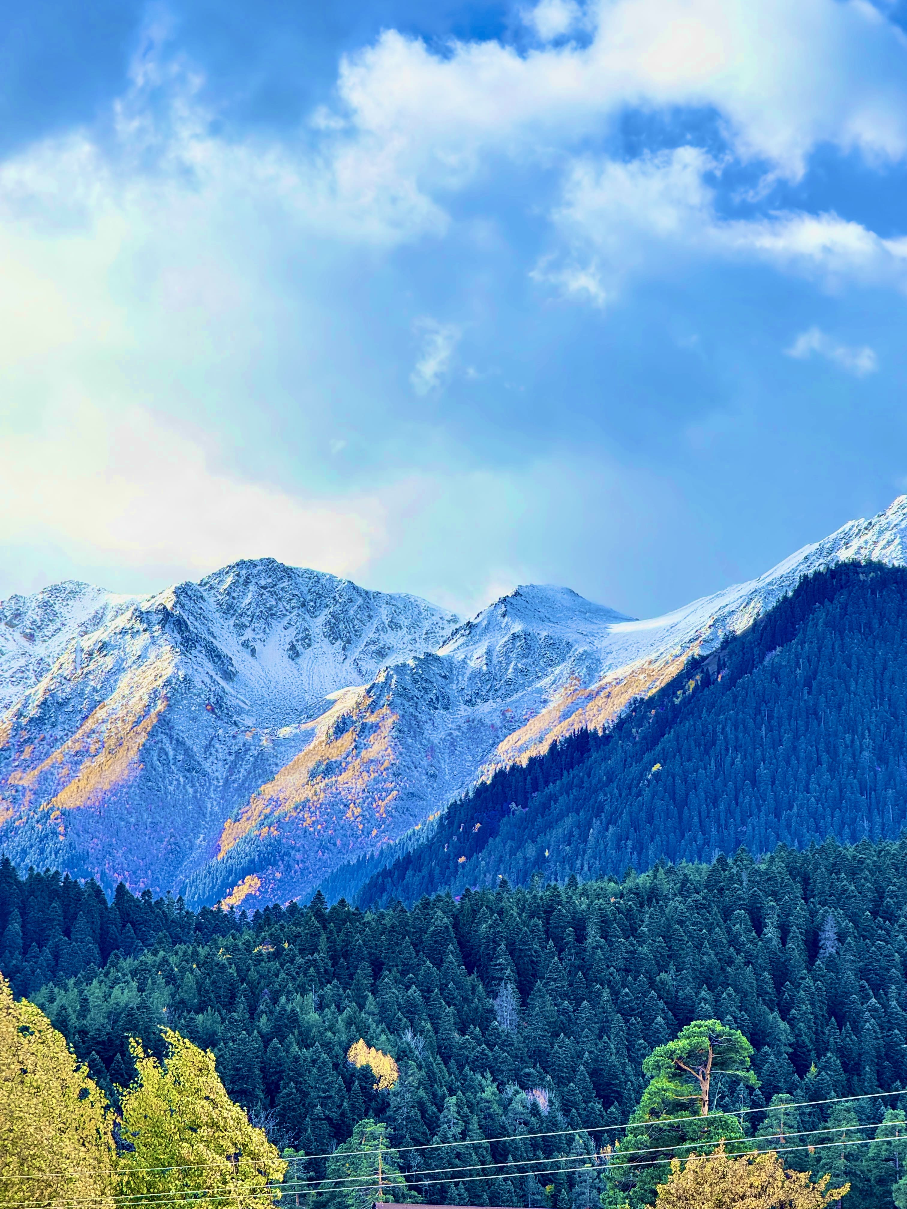 Двухместный улучшенный стандарт | без балкона | 2 этаж