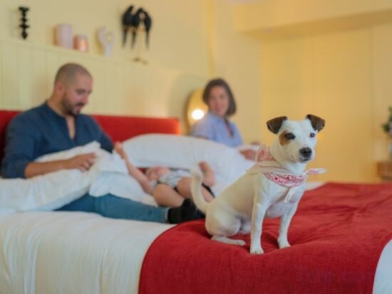 Two-Bedroom Suite with City View