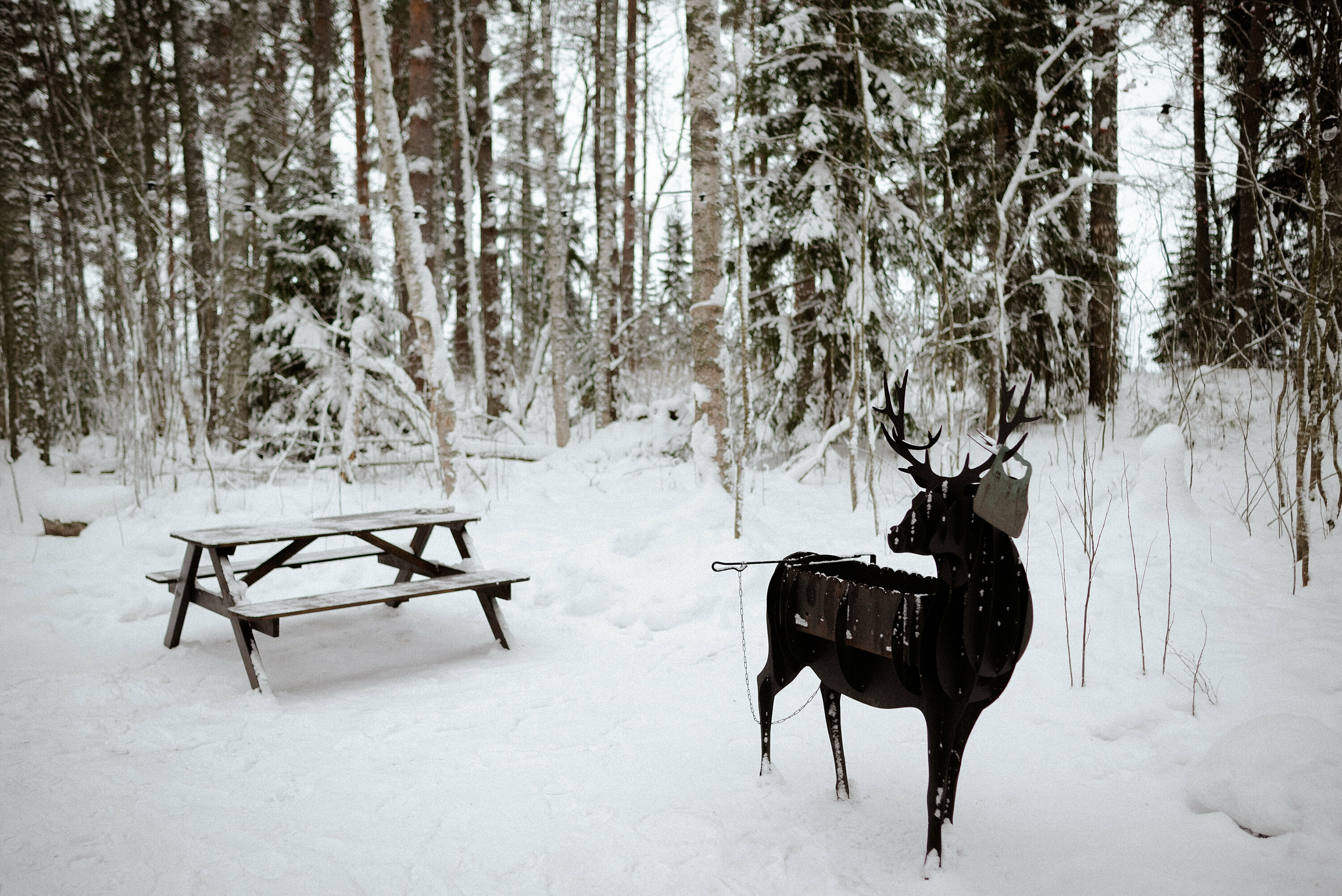 Дом №4 (строго без животных, заезд с 14:00, выезд в 12:00)
