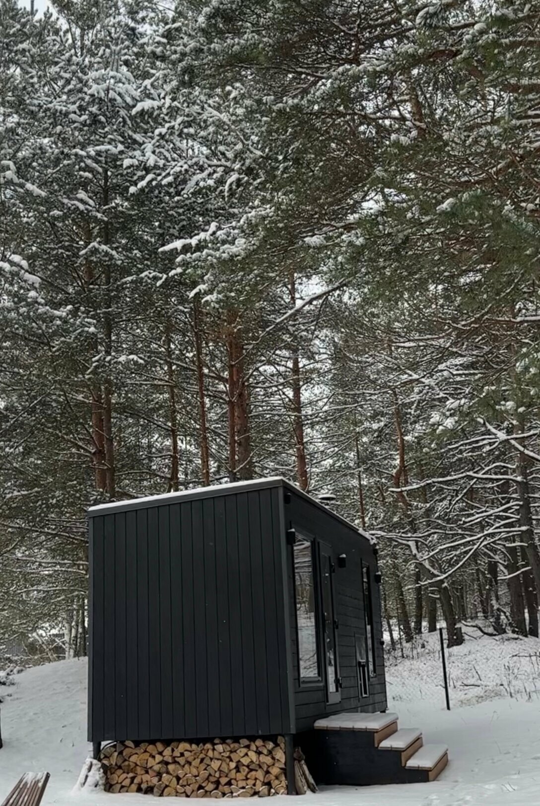 Дом с видом на лес