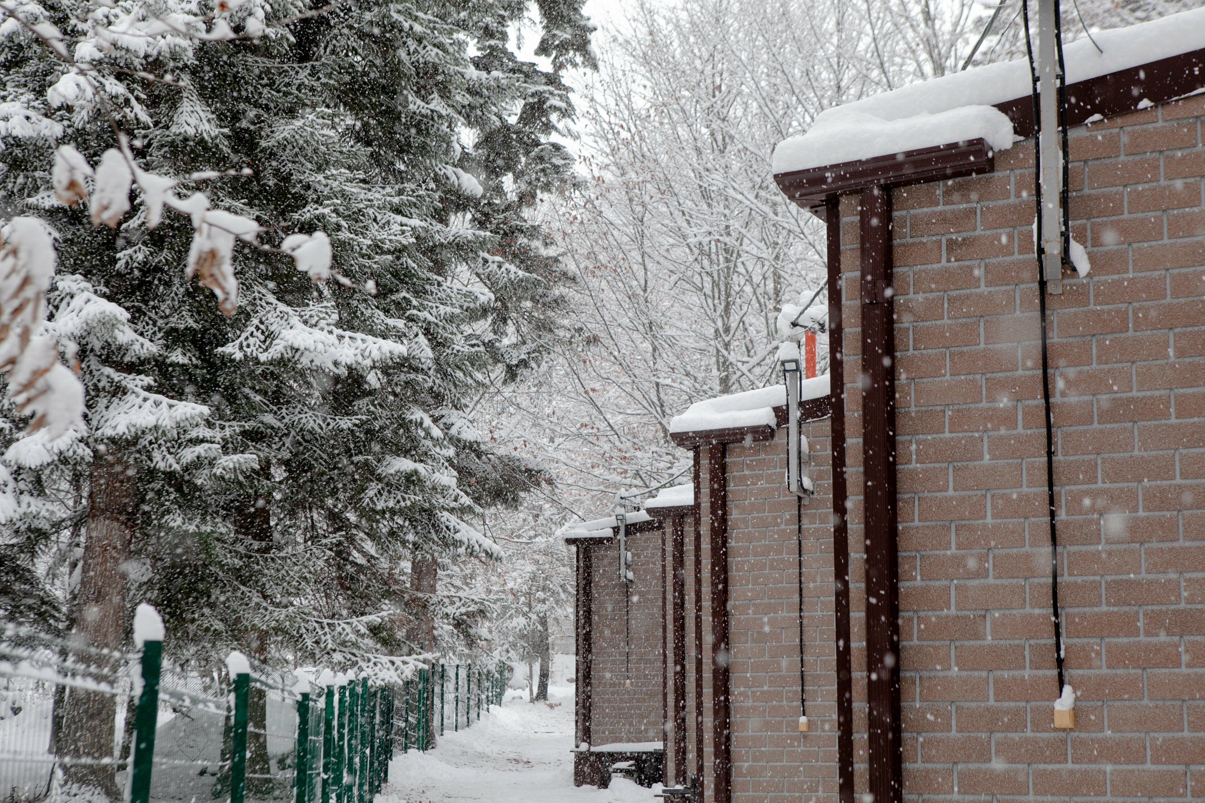 Трехместный номер