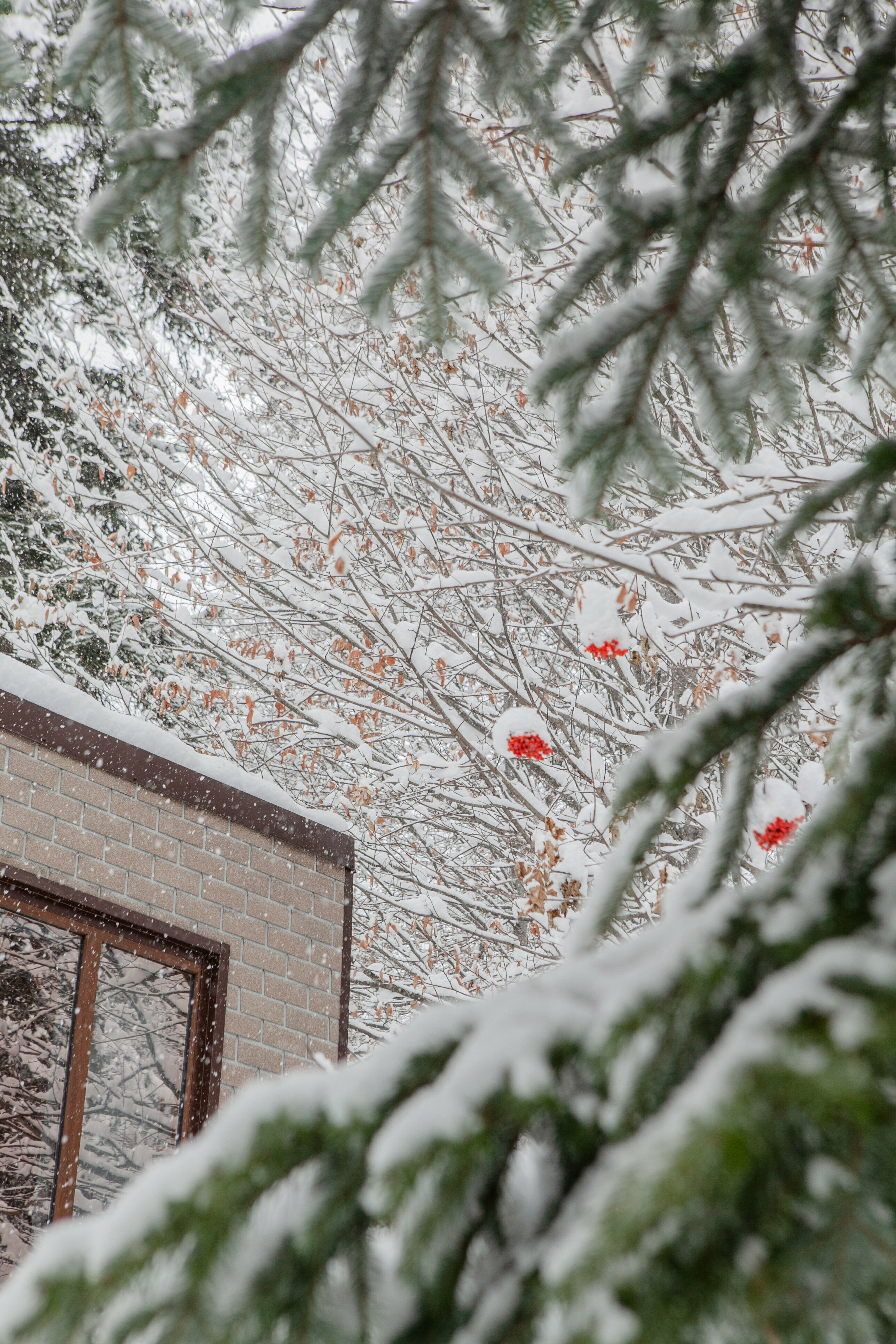 Трехместный номер