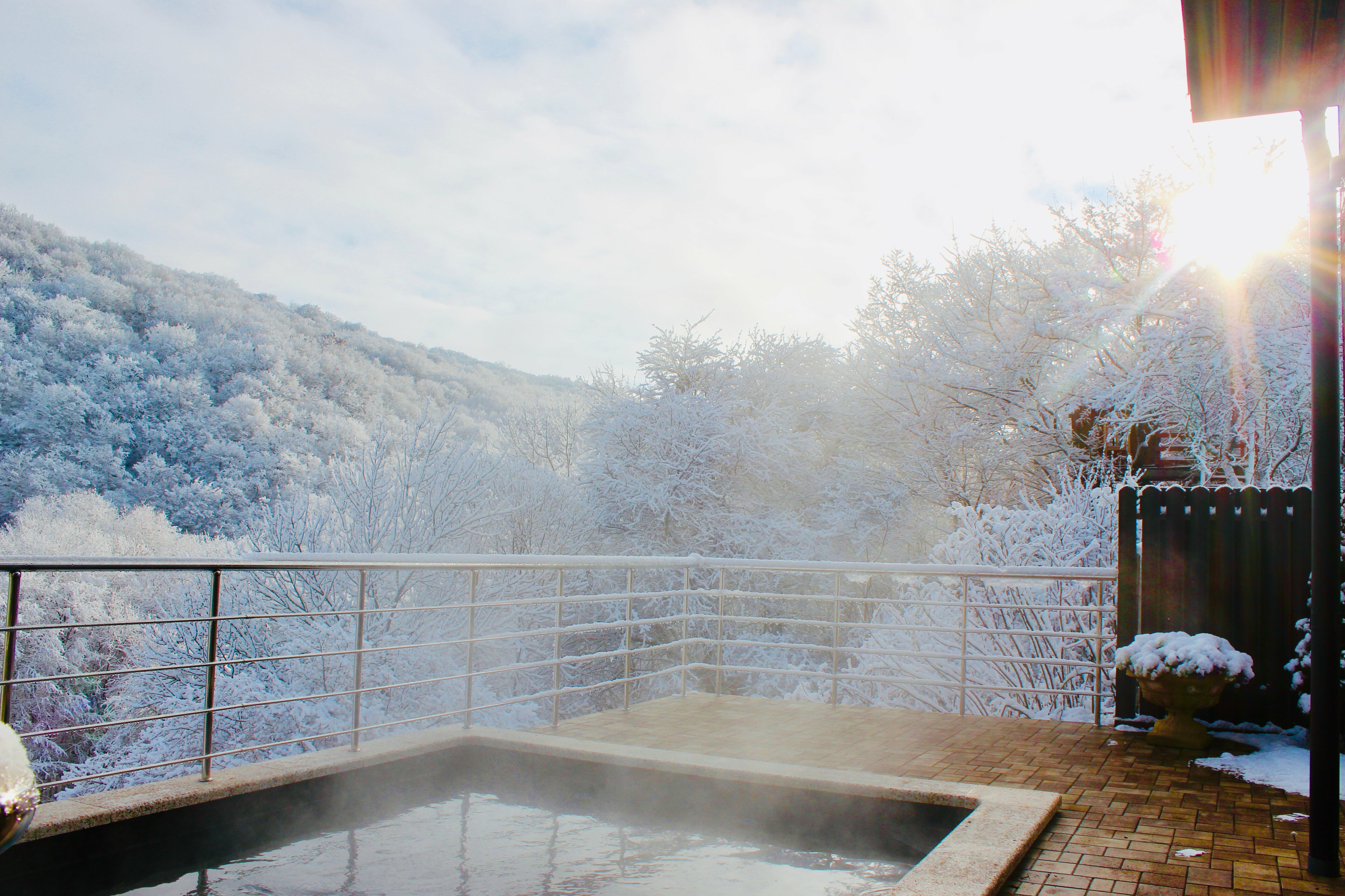 Дом с собственным бассейном