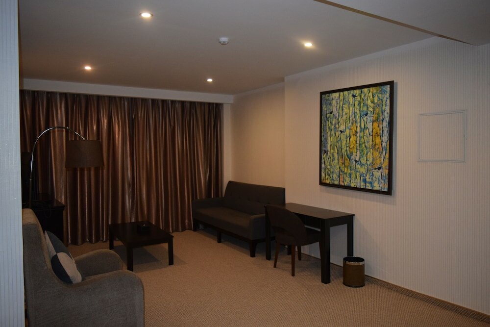 Business Single Room, 1 King Bed, Non Smoking