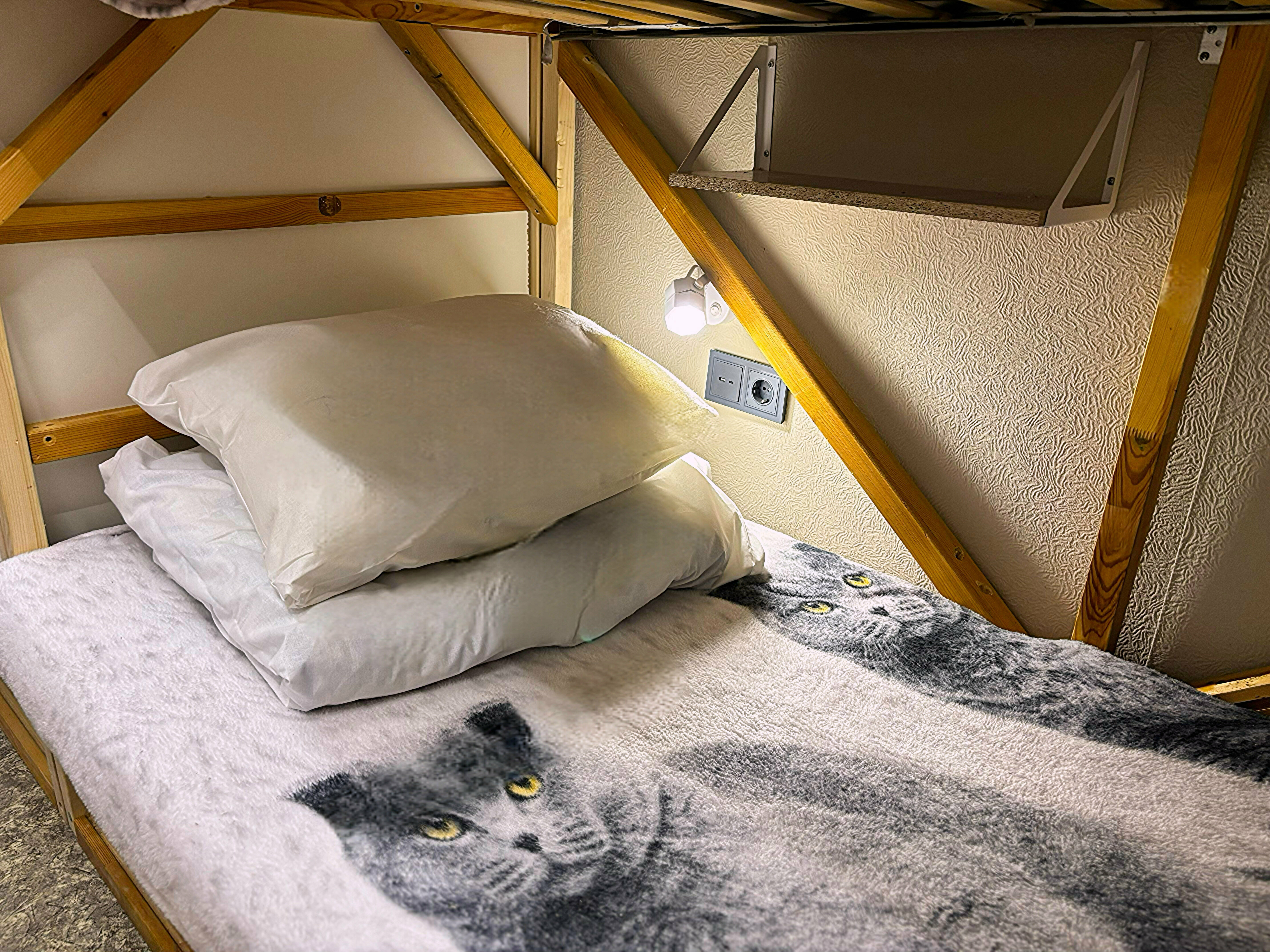 4-х местный женский номер Хризантемы