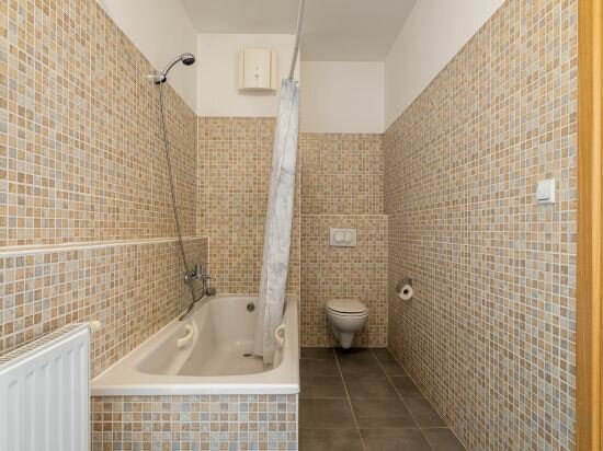 Two Bedrooms Penthouse