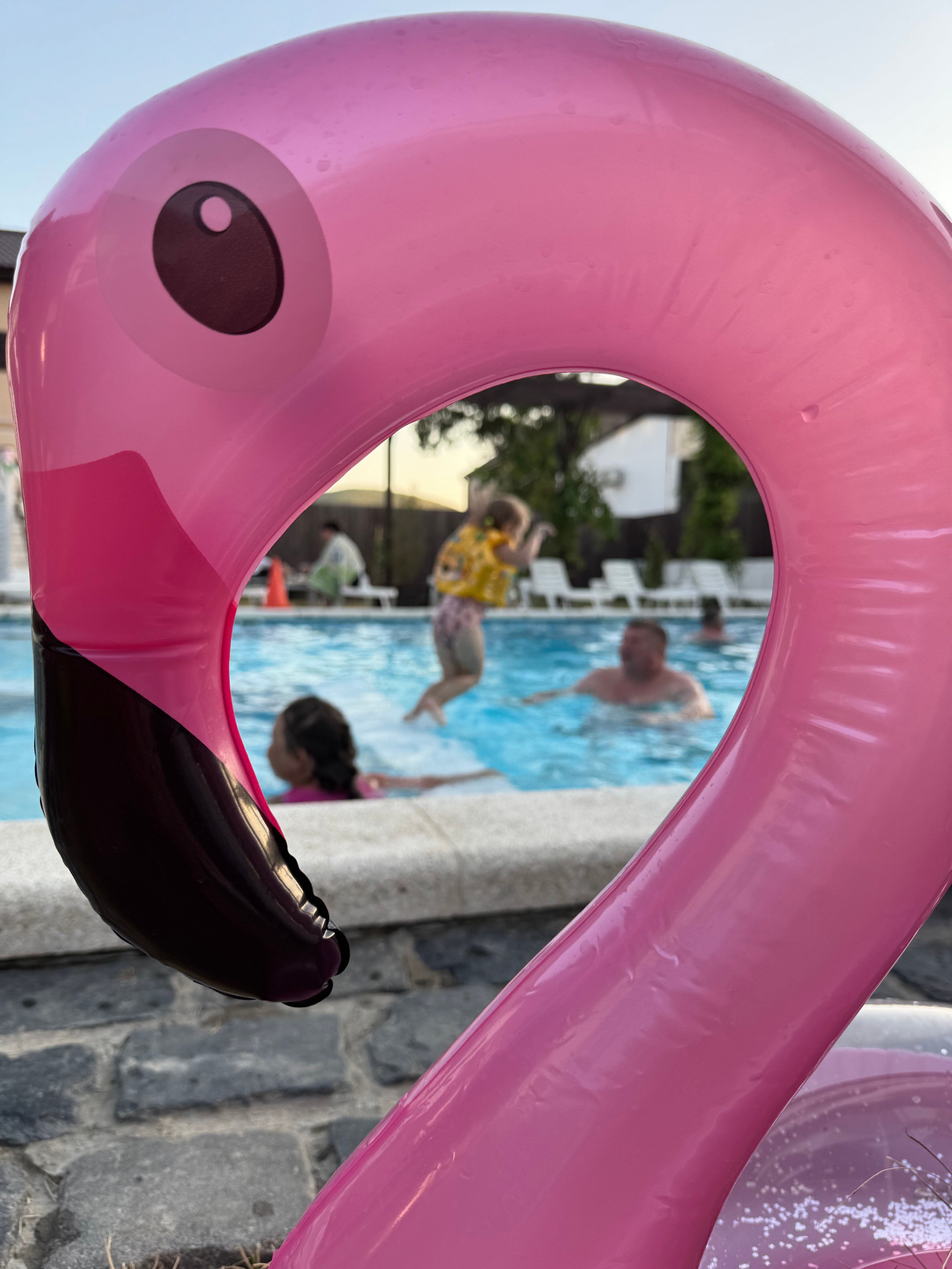 Номер - Вилла у бассейна