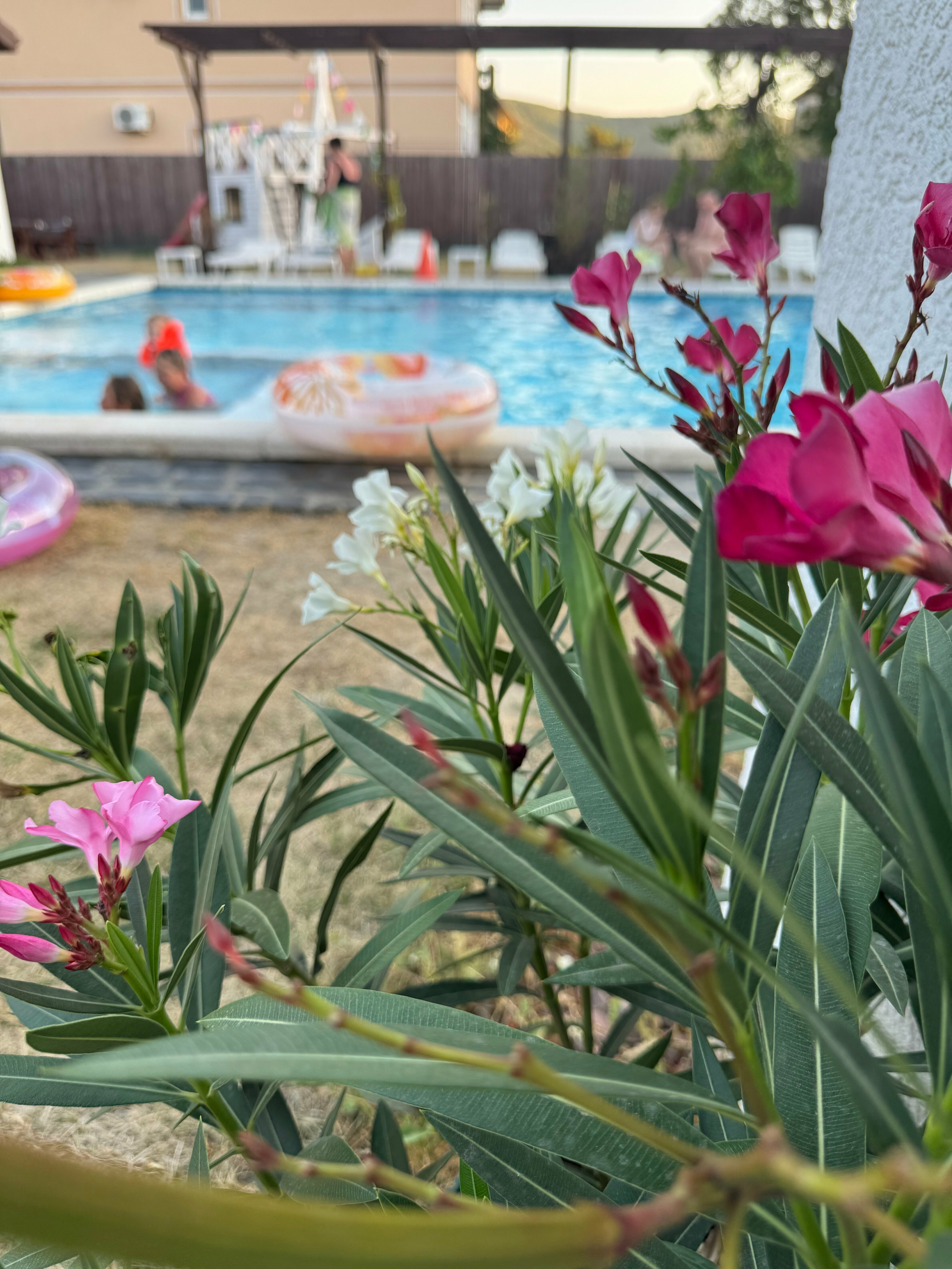 Номер - Вилла у бассейна