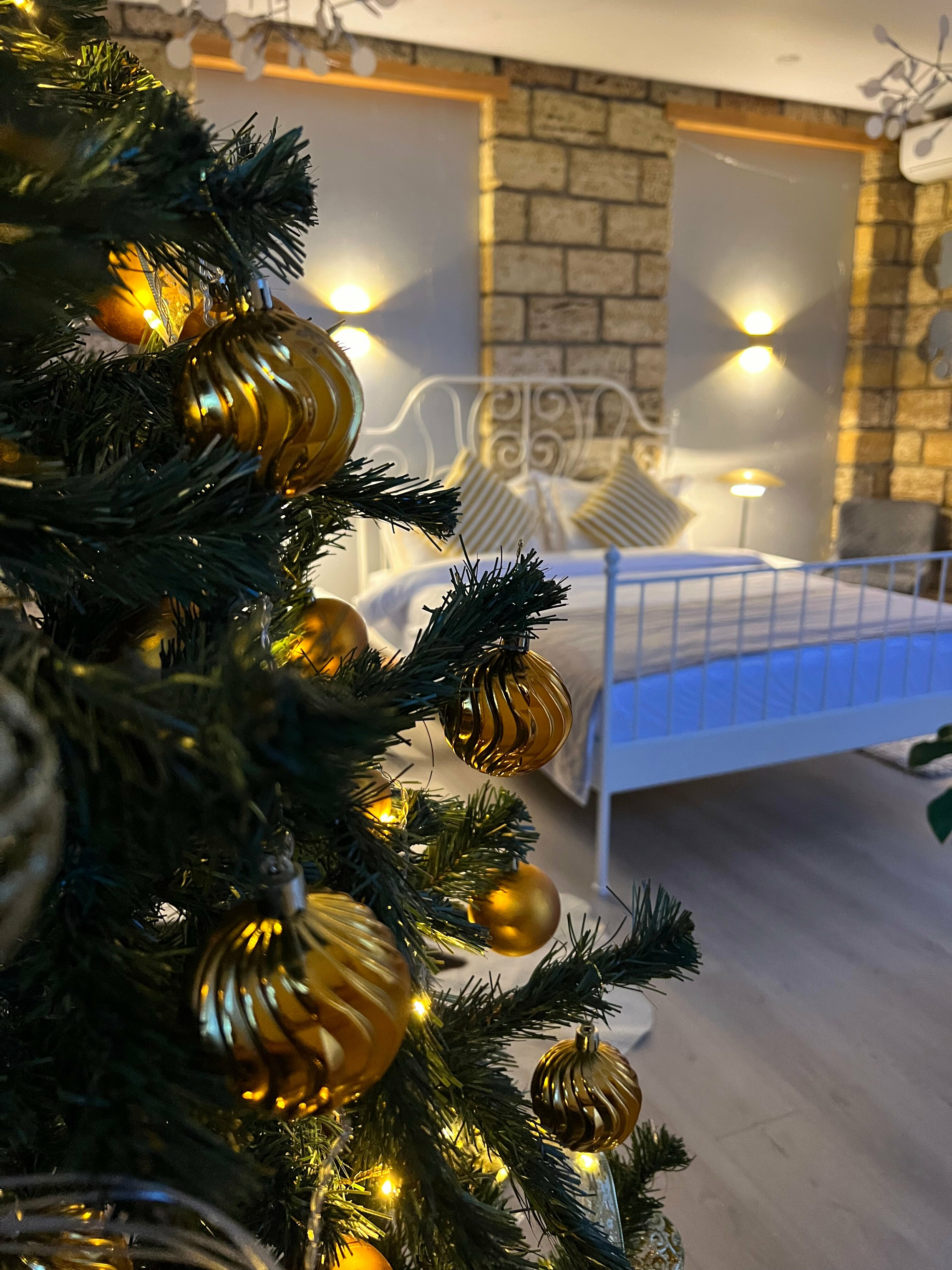 Люкс с 1 спальней