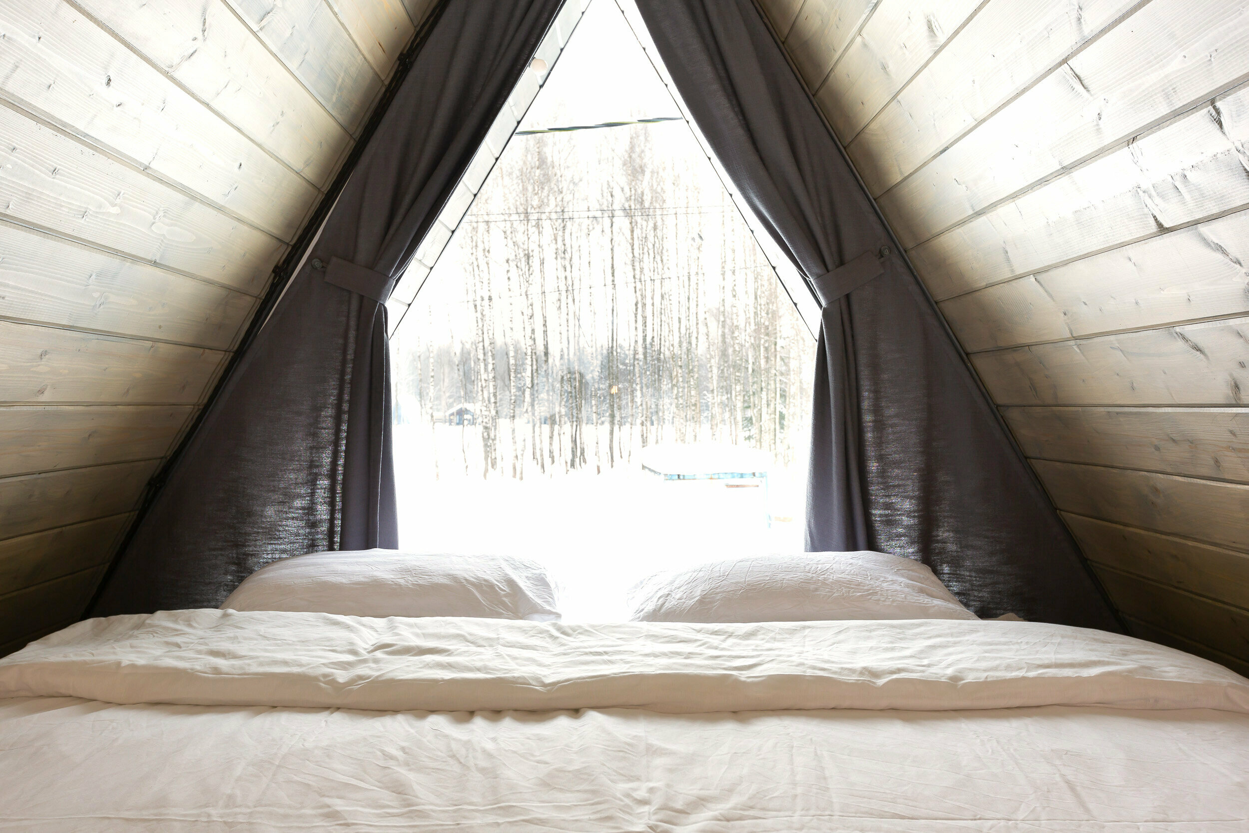 Коттедж с видом на лес