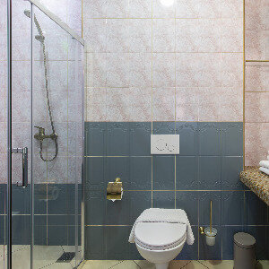 Двухкомнатный номер с эркером и душем