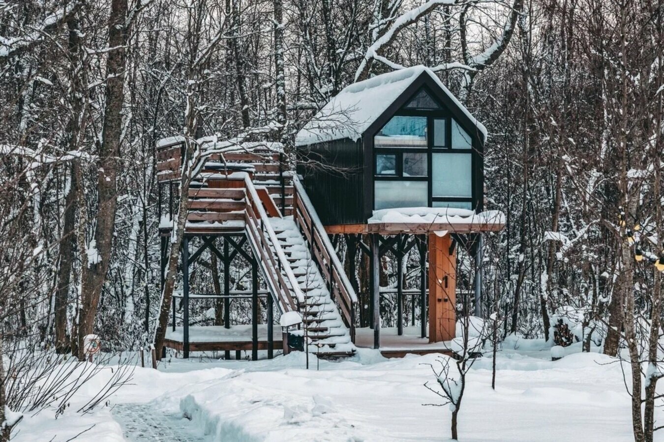 Дом на дереве "Прогулка по Нью-Йорку"