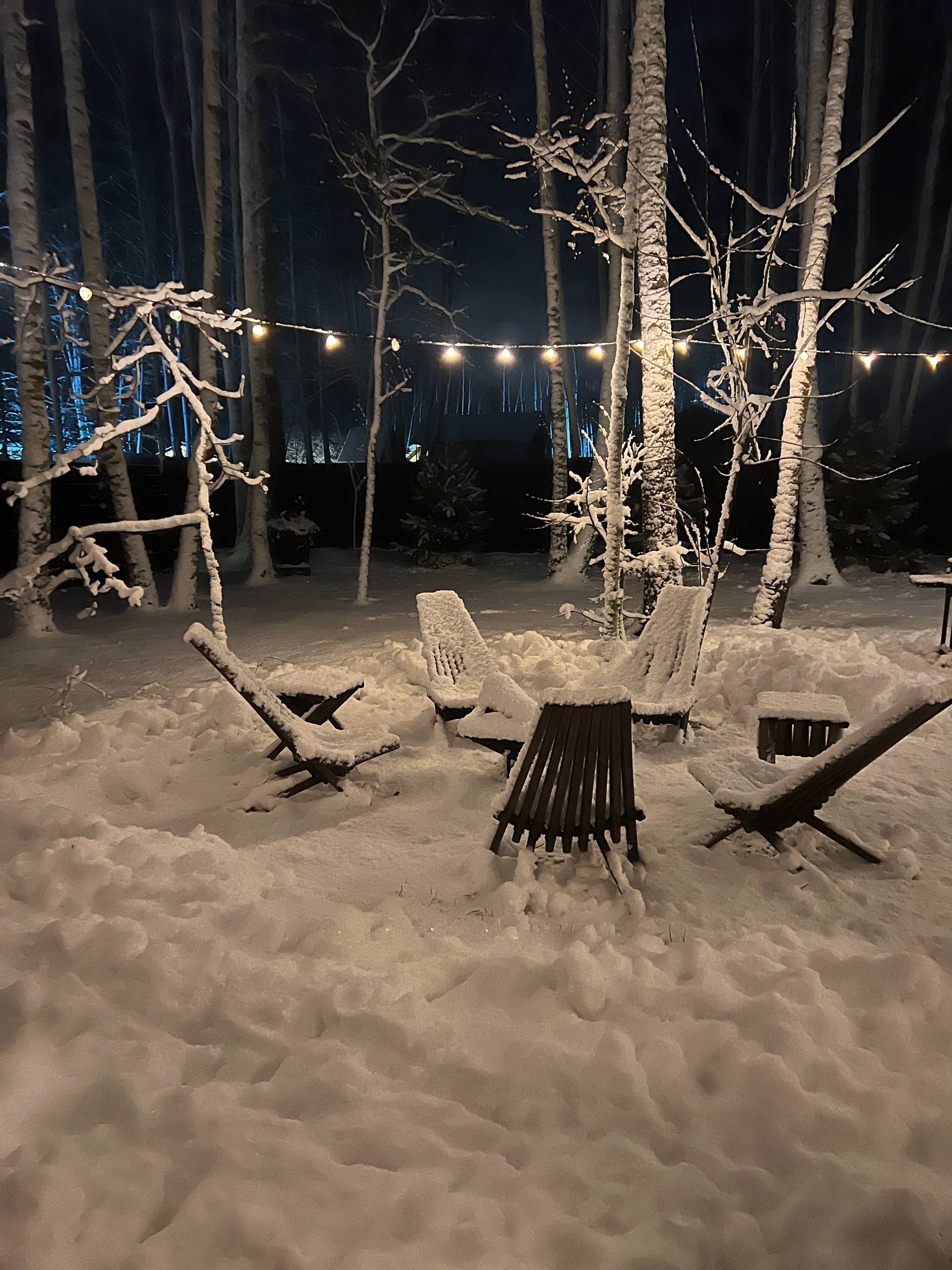 Домик в лесу с баней