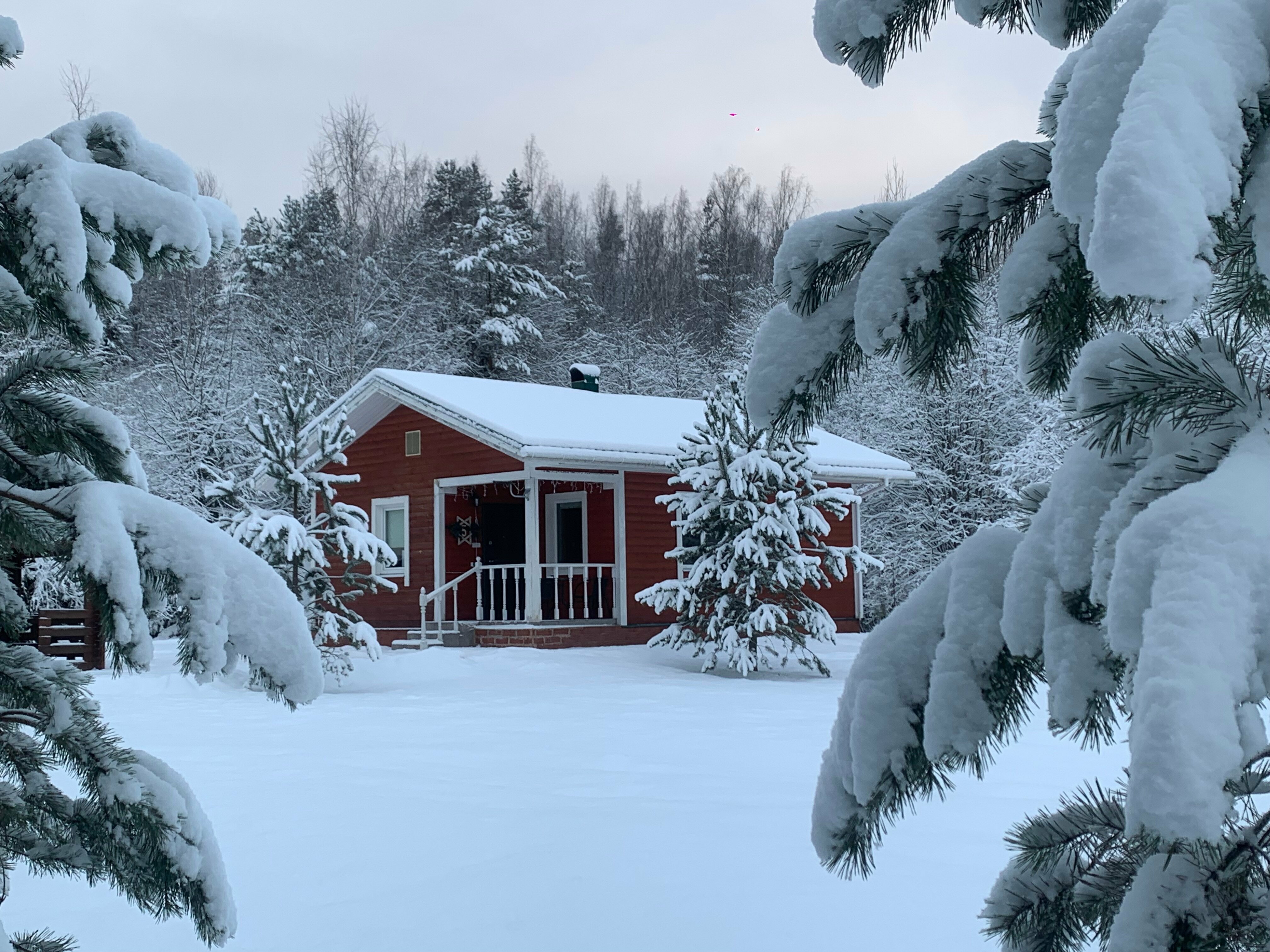 Дом-Студия  N5 на 2+1 с сауной, камином и беседкой с мангалом