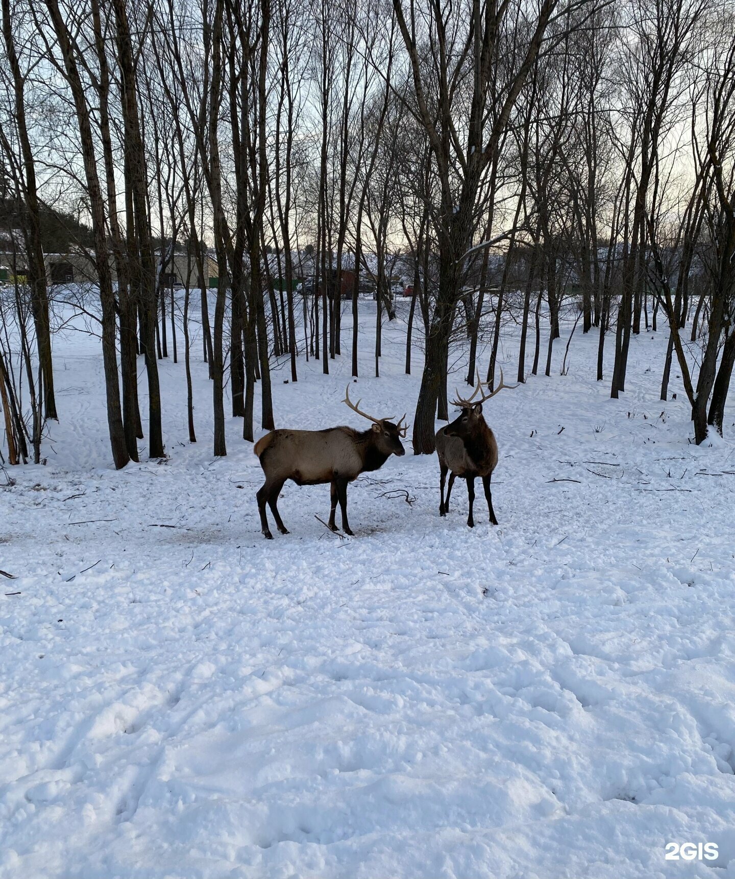 Номер категории Люкс