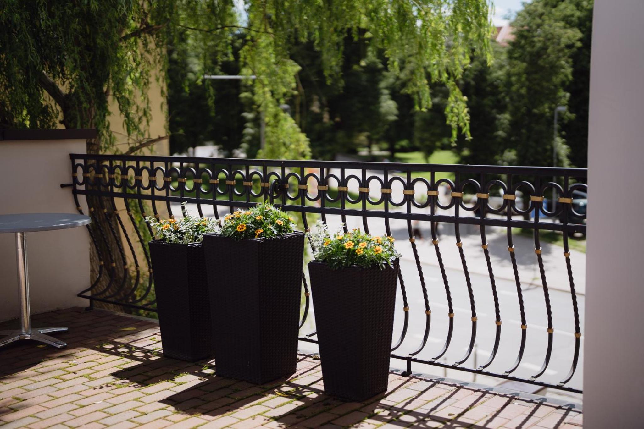 Executive Suite With Terrace