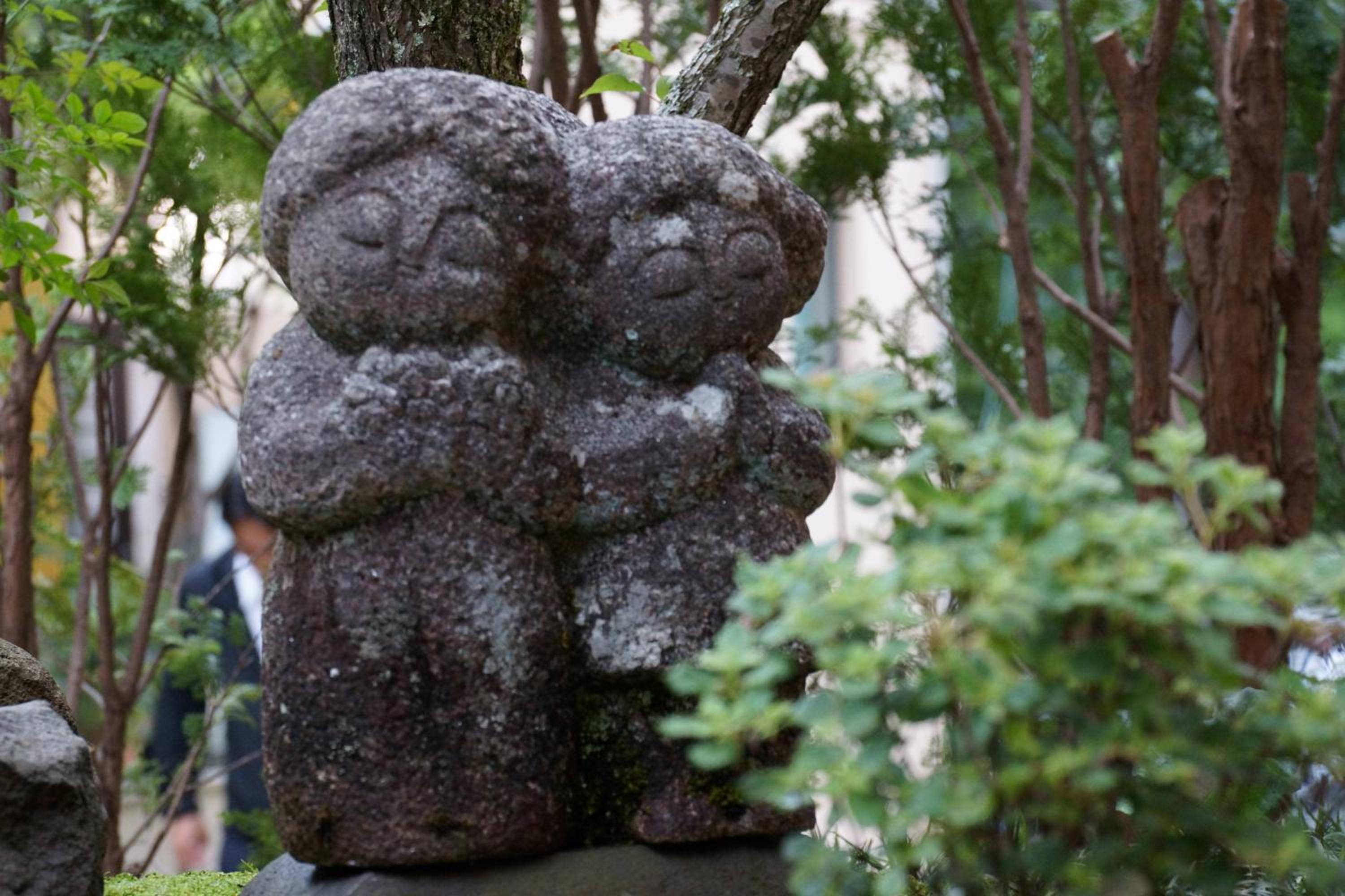 Zen meditation Plan -Superior Room - Type B-Dinner Time 19:30