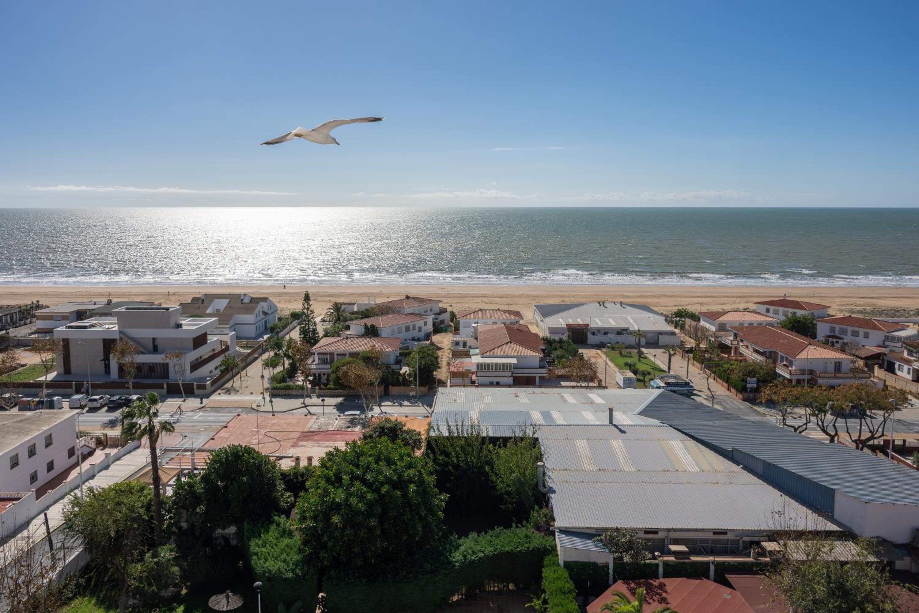 Junior Suite with Sea View