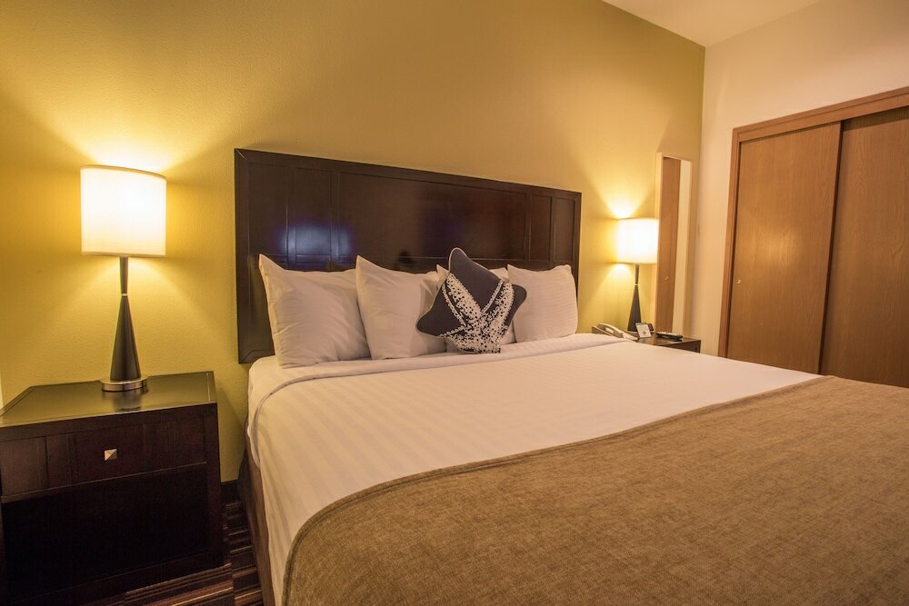 Suite, 1 King Bed with Sofa bed