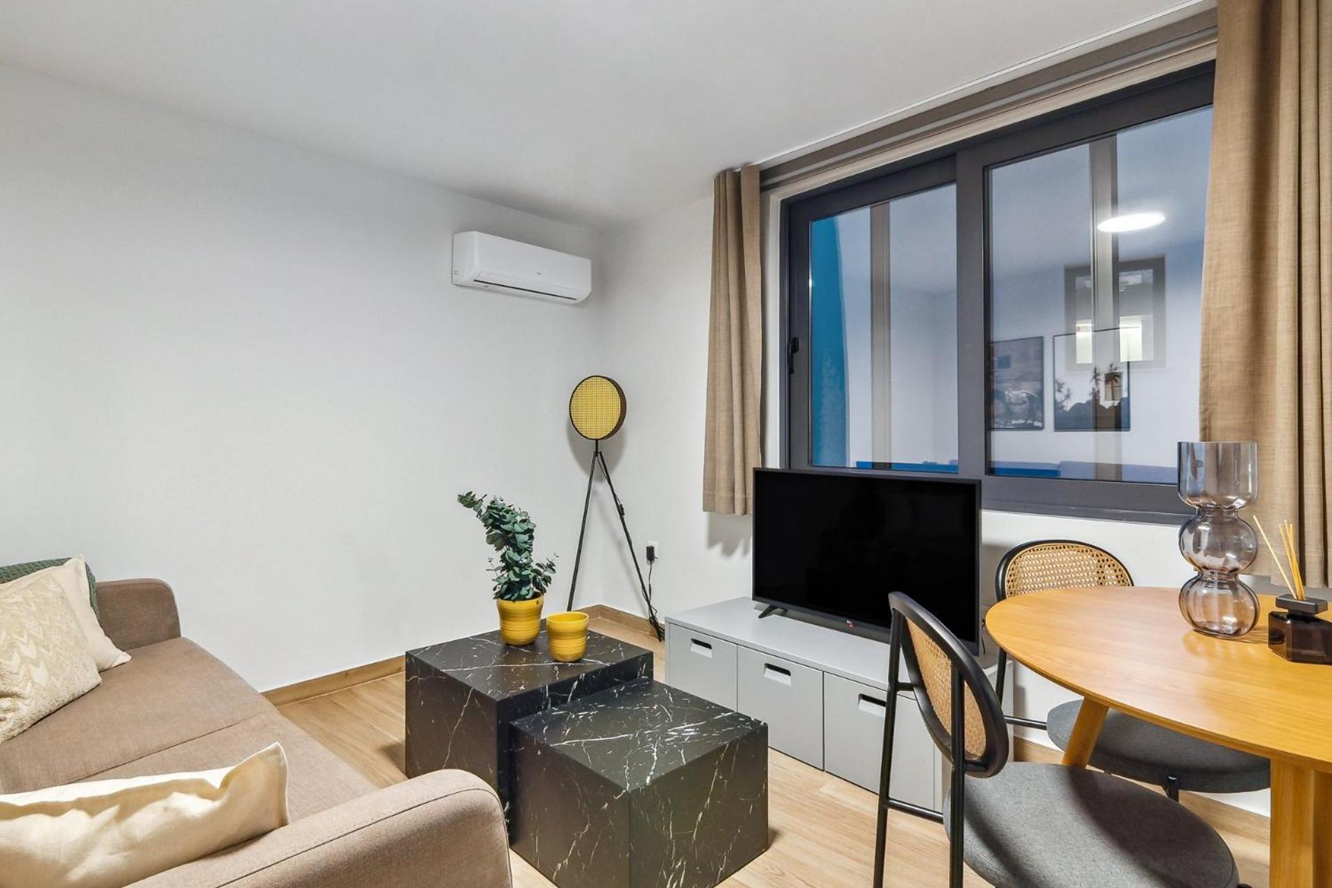 One-Bedroom Apartment with sofa bed