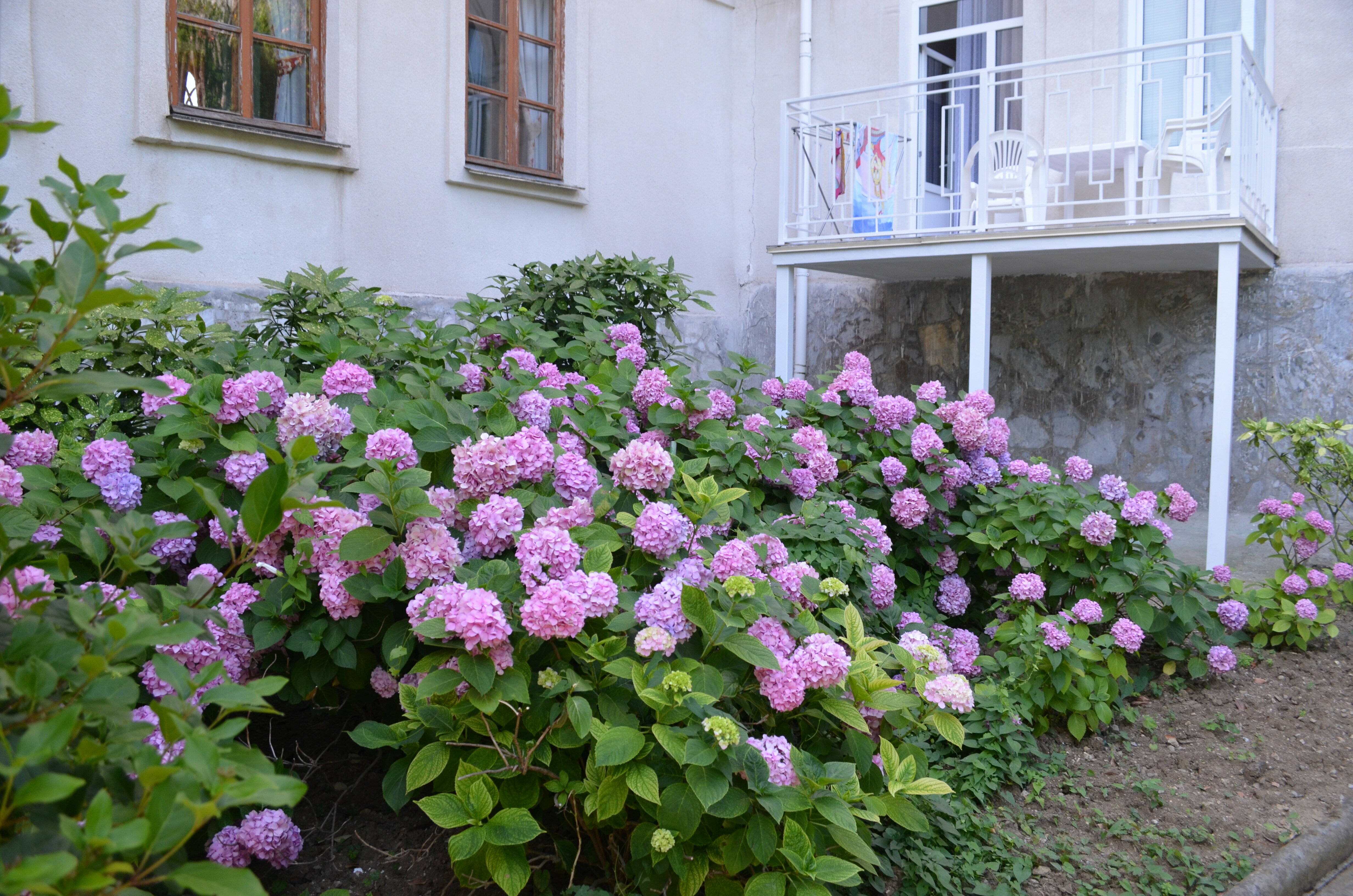 Двухместный номер Делюкс с 1 кроватью и боковым видом на море