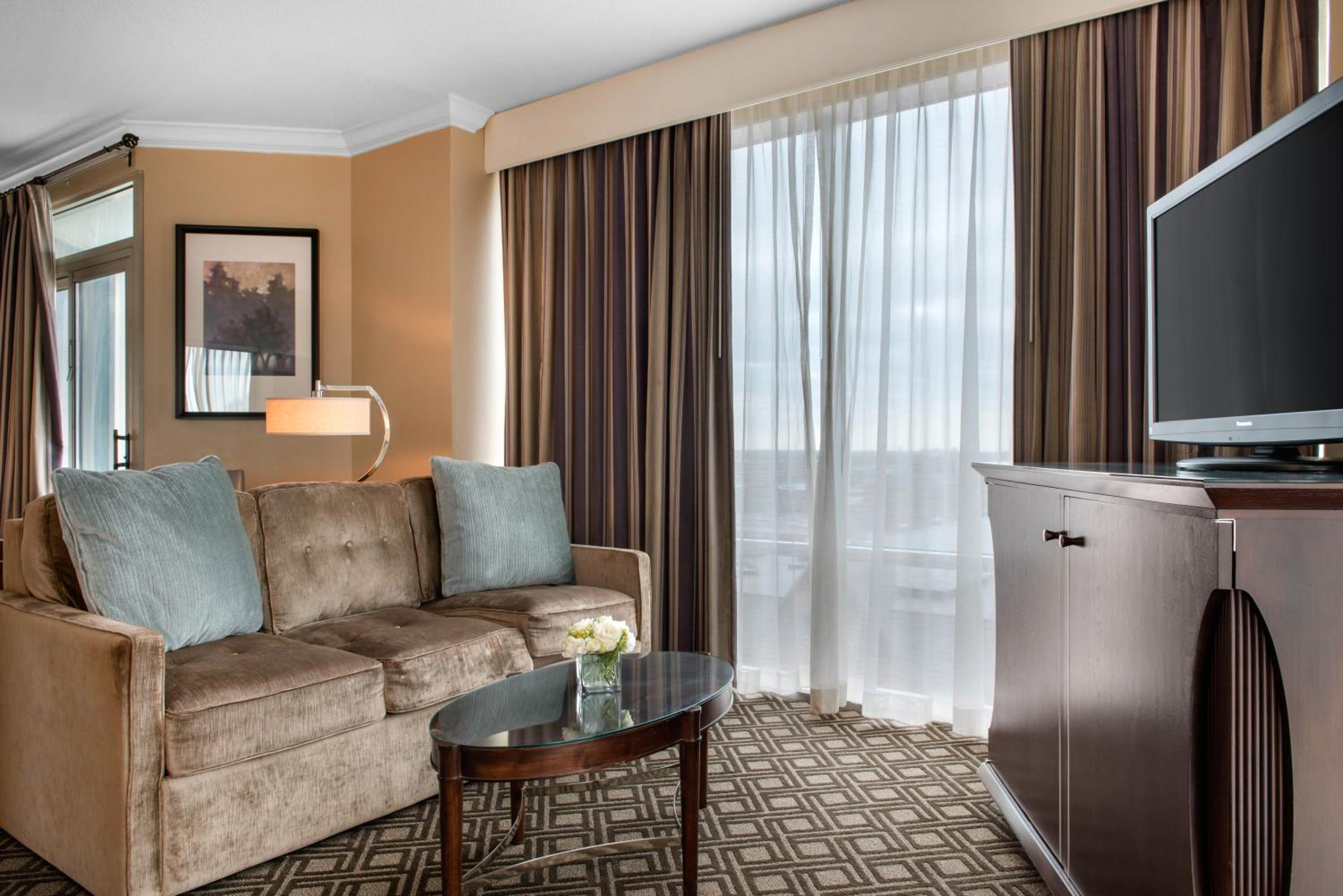 Ada Plaza Suite - 1 King Bed