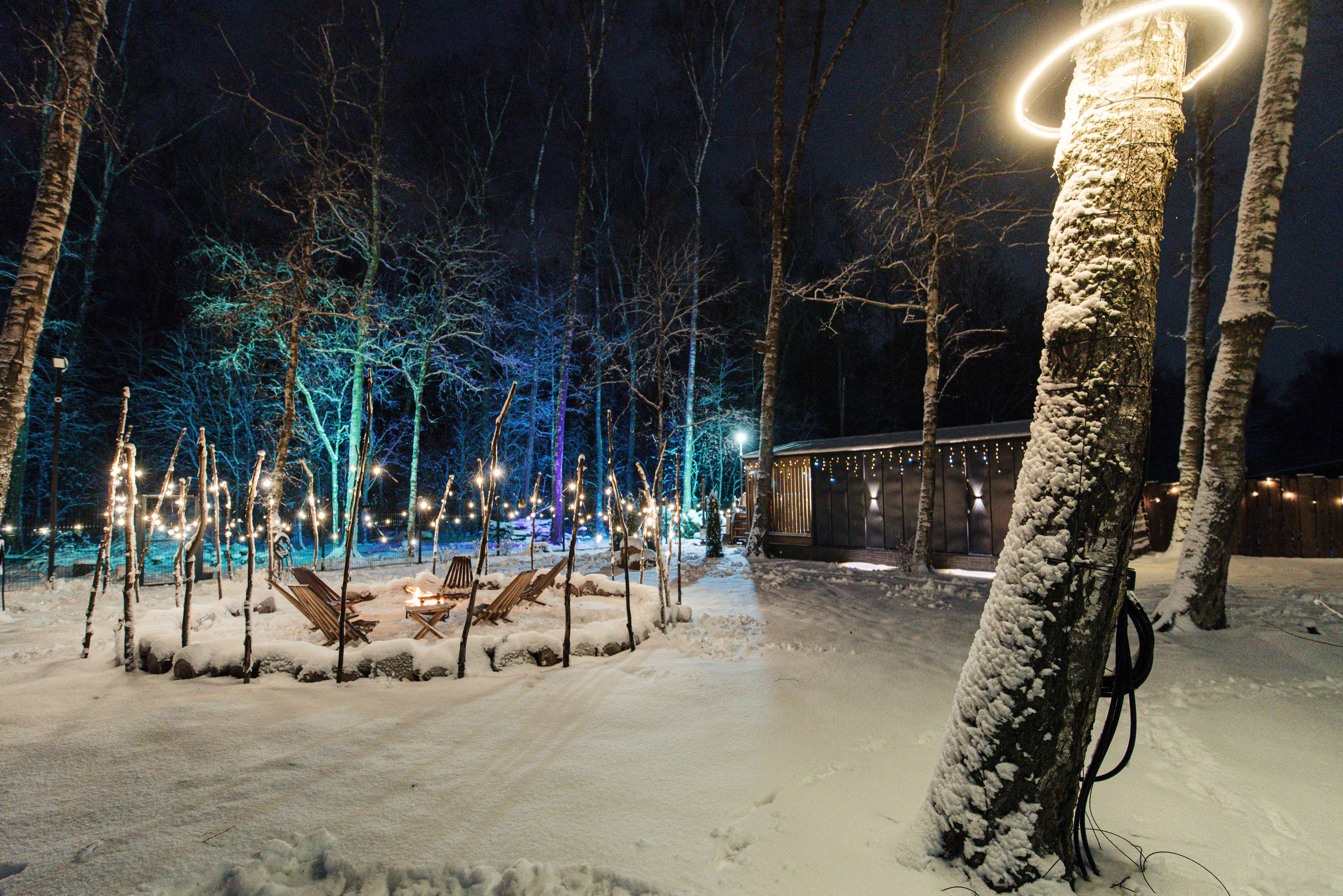 Дом с видом на лес