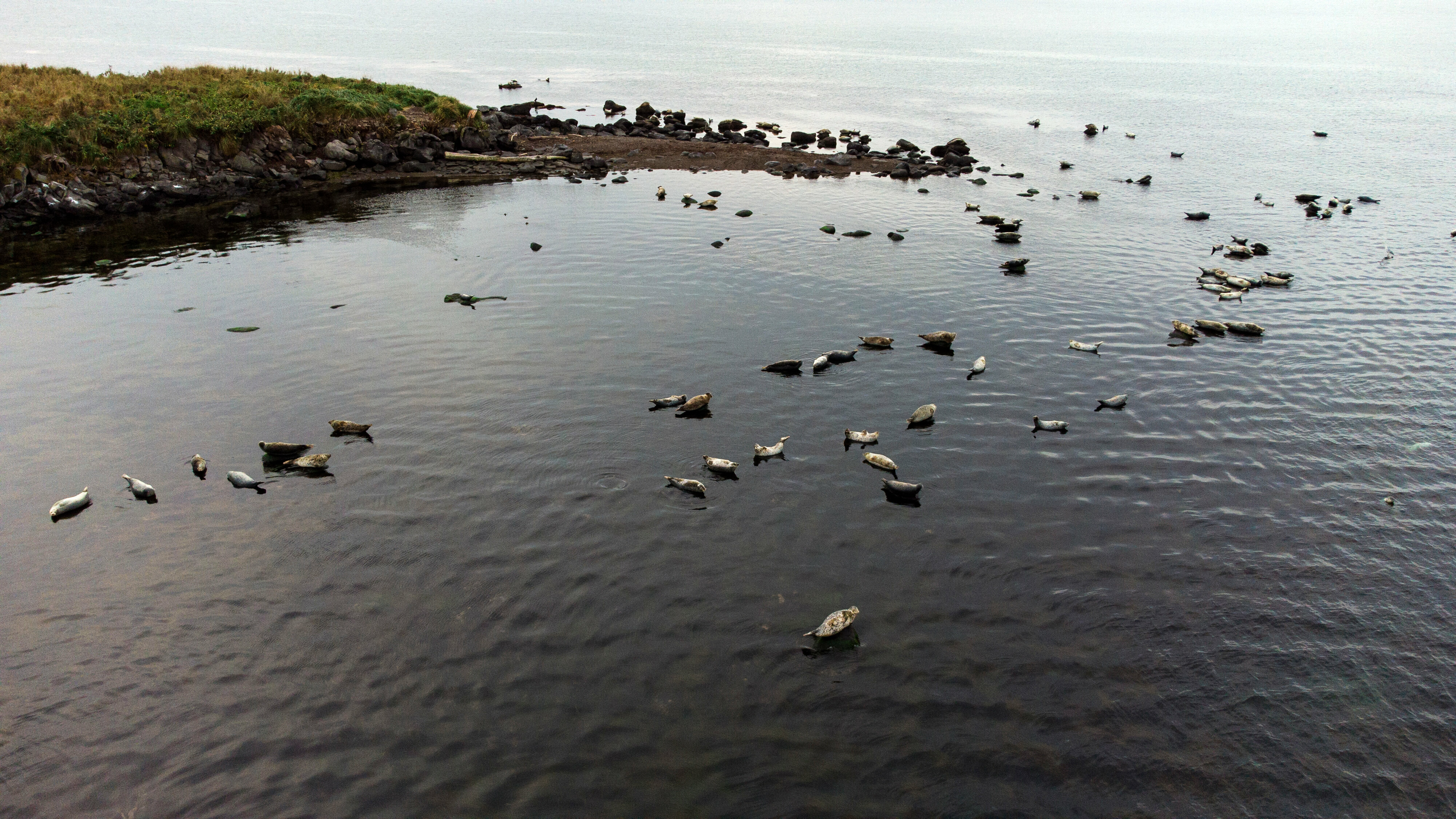 Трехместный номер