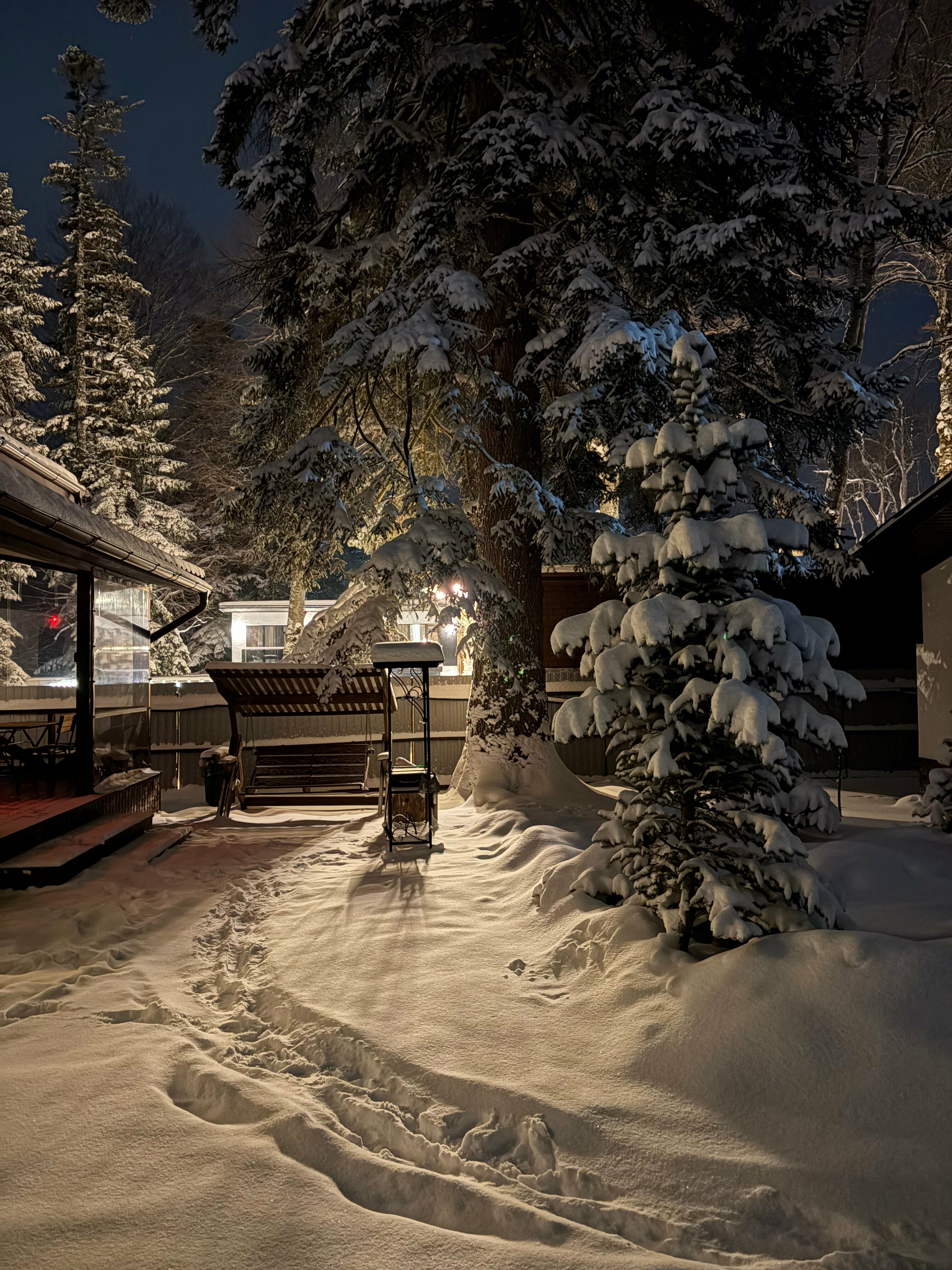 Шале с видом на горы №2